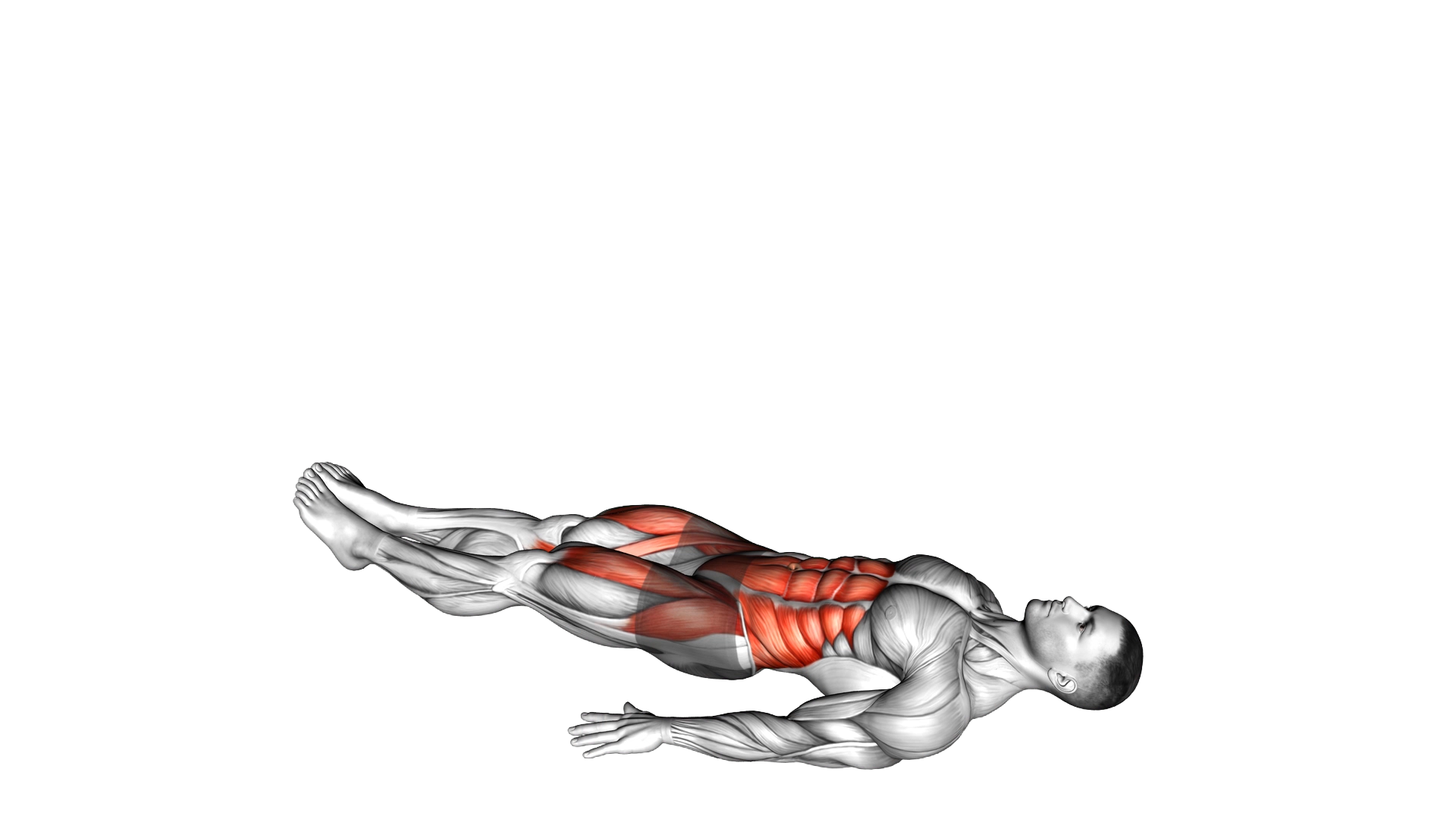 Reverse Crunch exercise demonstration