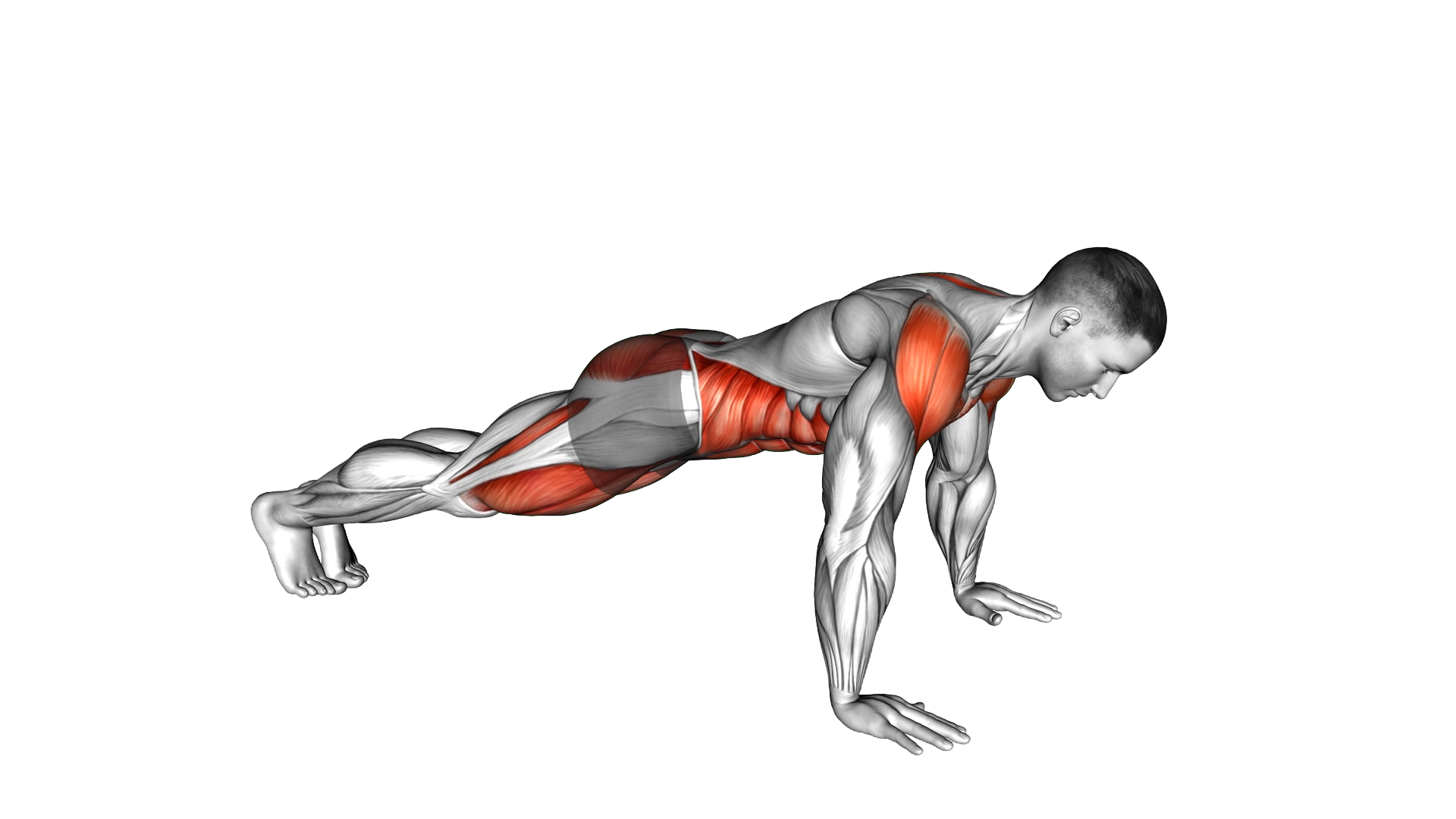 Front Plank to Toe Tap exercise demonstration