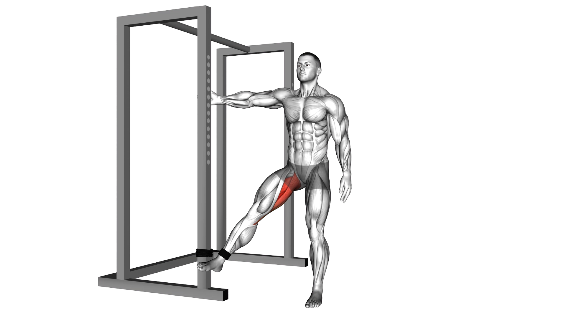Band hip adduction exercise demonstration