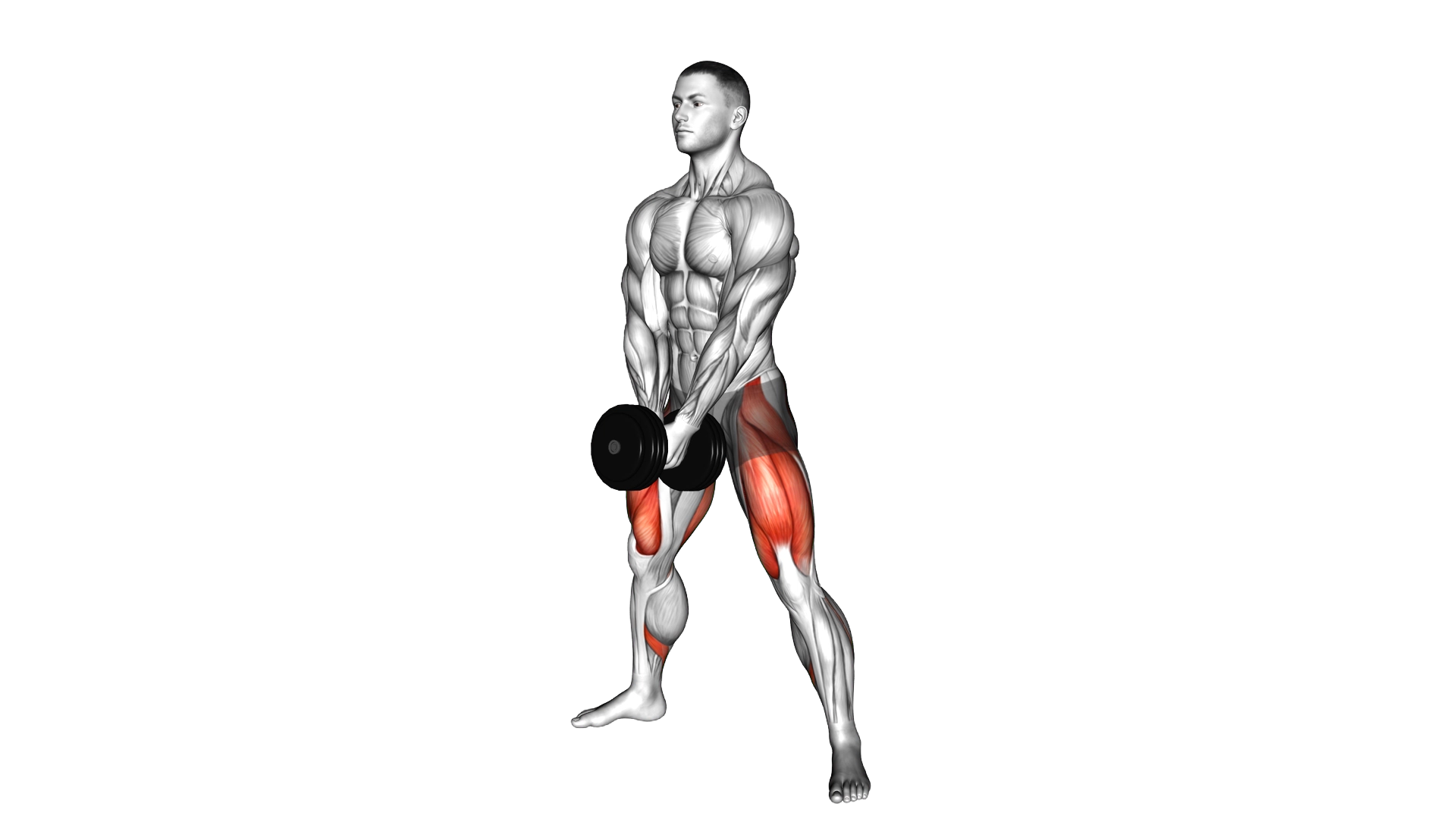 Dumbbell Bar Grip Sumo Squat exercise demonstration