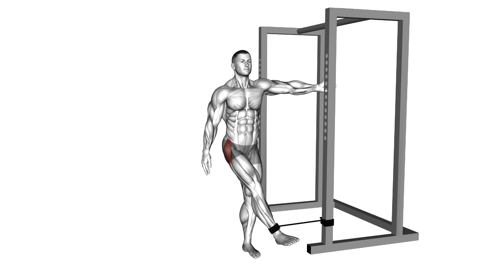Band hip abduction exercise demonstration