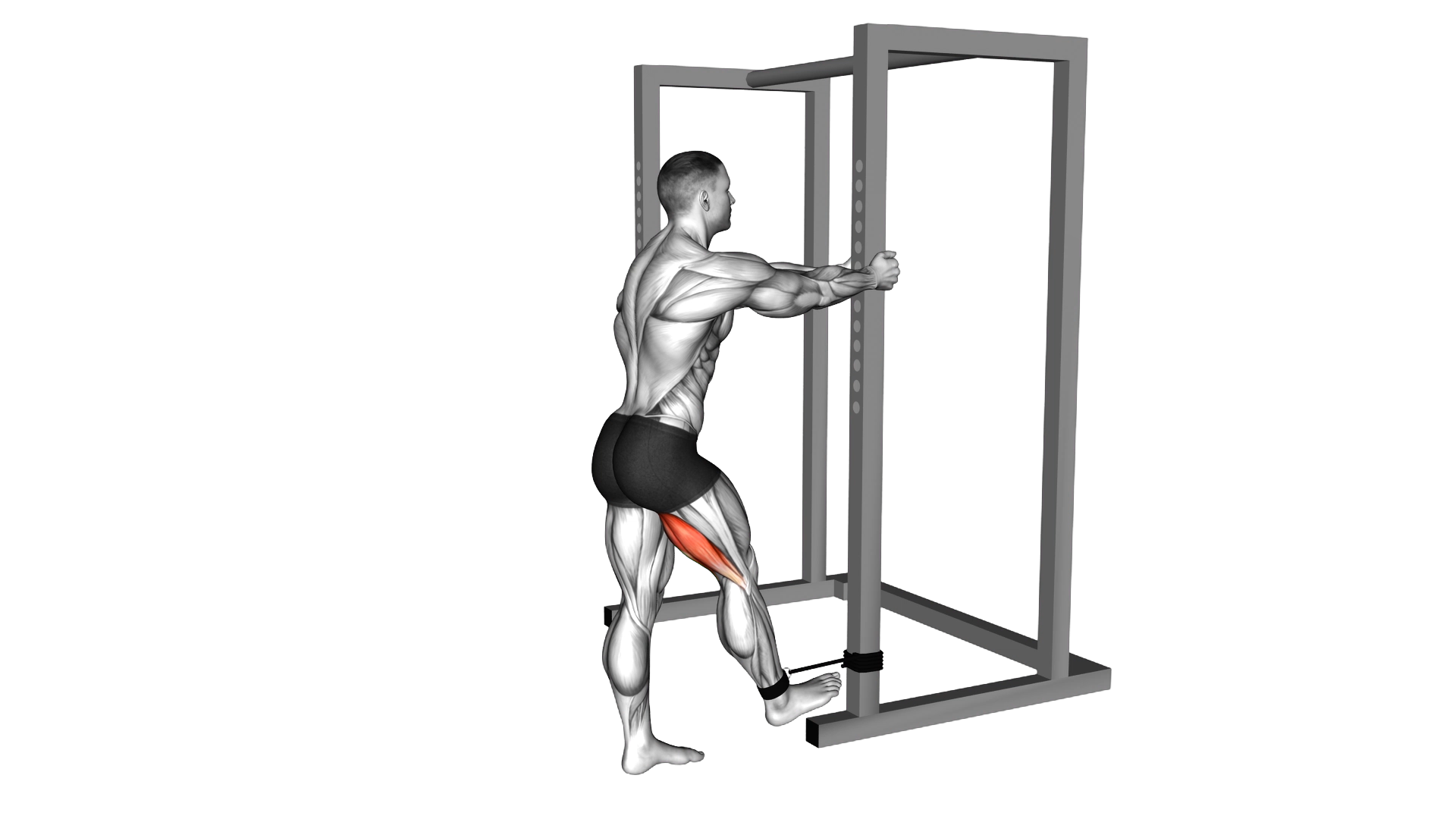 Band standing leg curl exercise demonstration