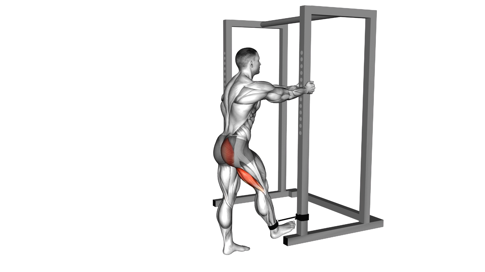 Band Standing Hip Extension exercise demonstration