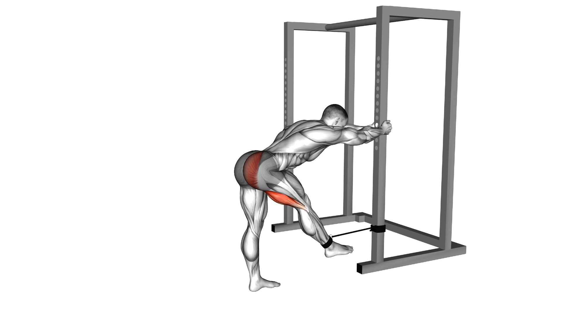 Band Bent over Hip Extension exercise demonstration