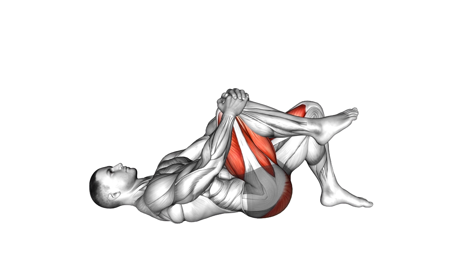 Single Leg Glute Bridge with Knee to Chest exercise demonstration