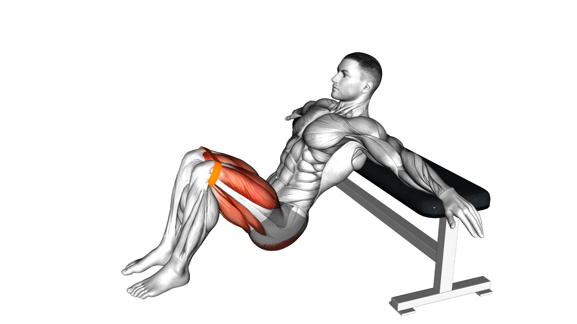 Resistance Band Hip Thrusts exercise demonstration