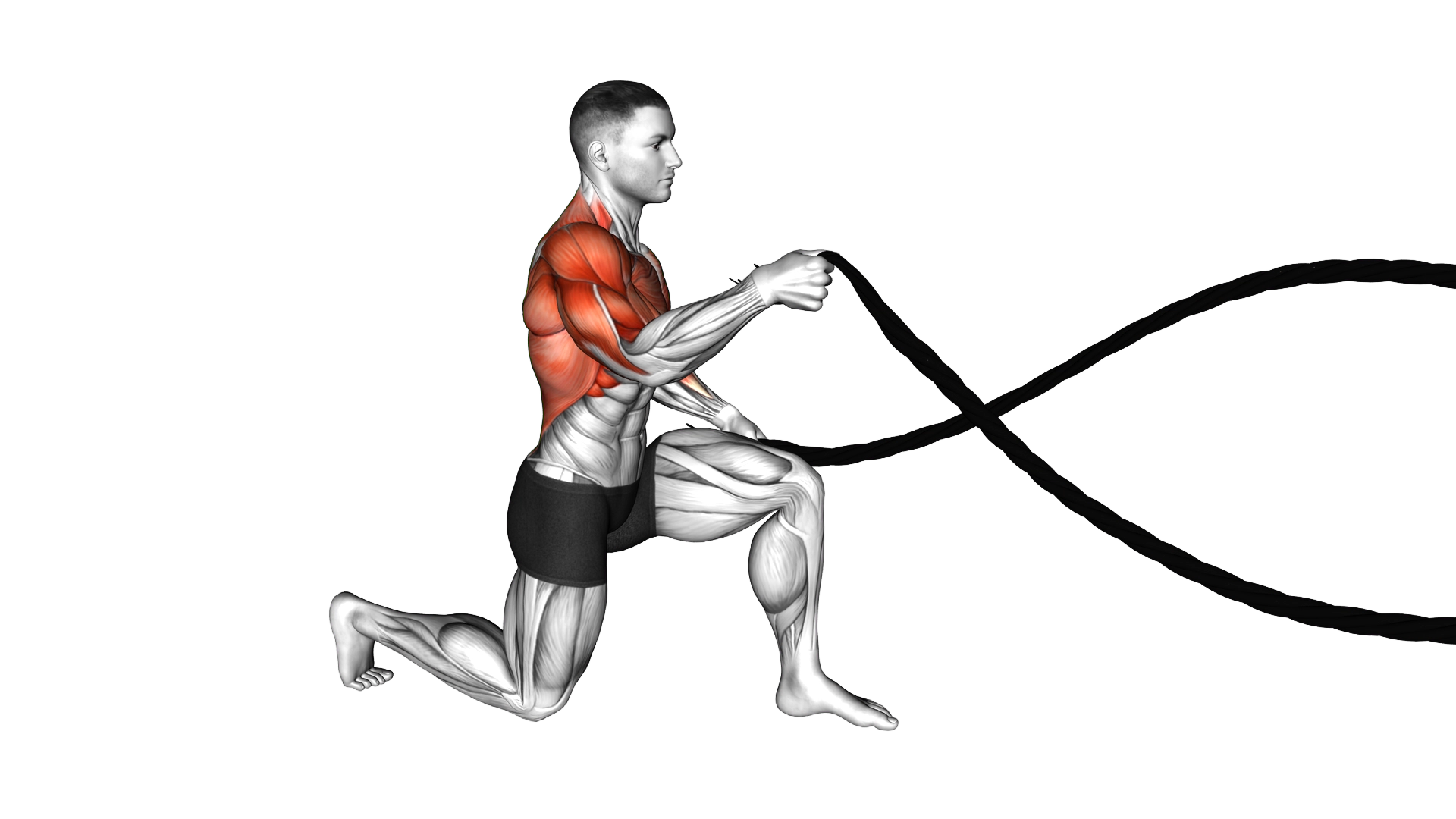 Battling Ropes Half Kneeling exercise thumbnail