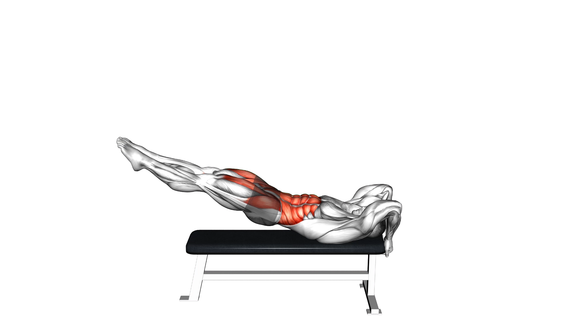 Leg Raise Dragon Flag exercise thumbnail