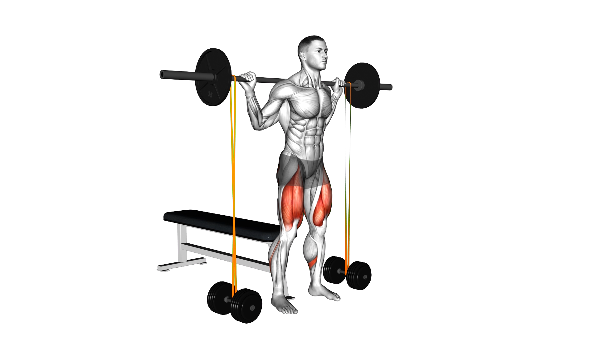 Barbell Banded Bench Squat exercise thumbnail