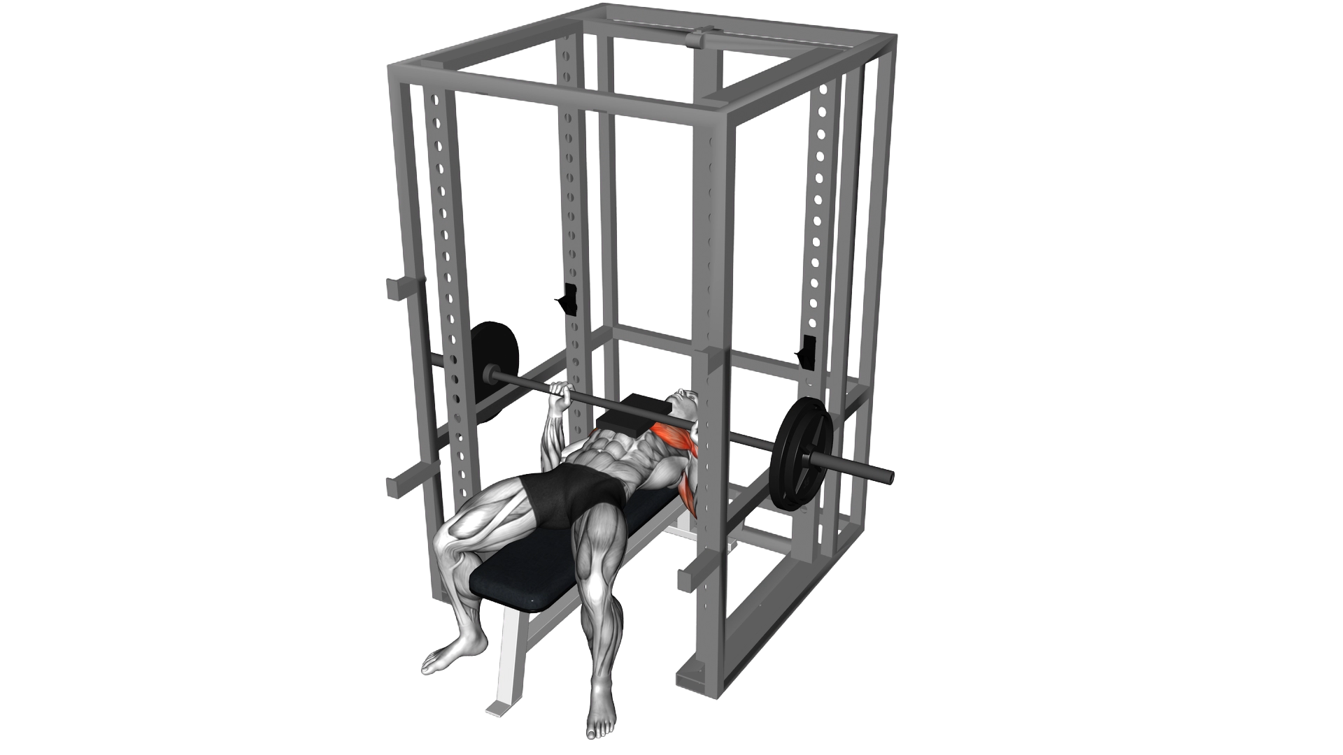 Barbell Bench Press with 1 board exercise demonstration