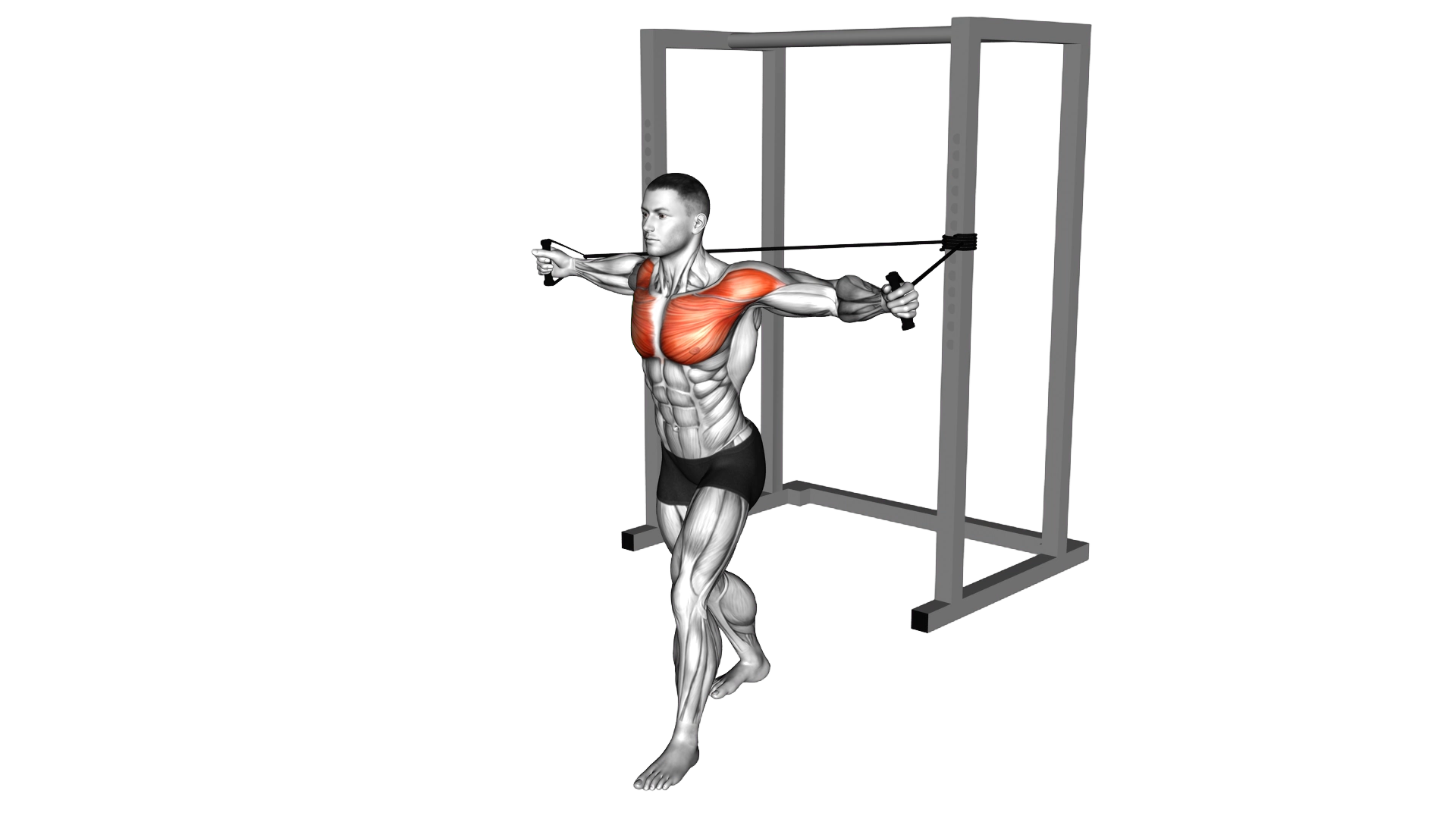 Band Chest Fly exercise demonstration