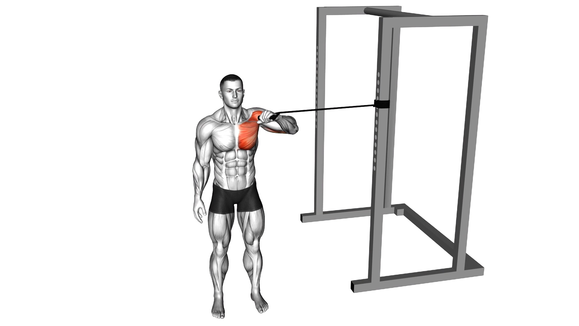 Band Cross Body One Arm Chest Press exercise demonstration
