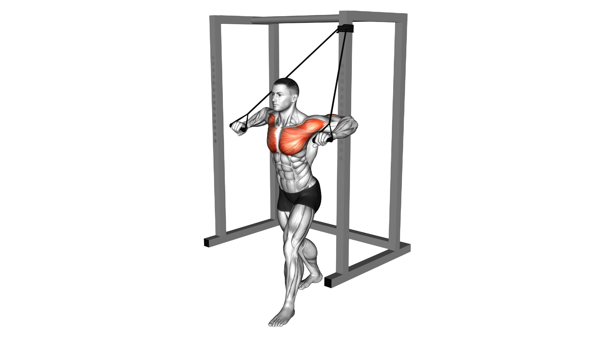 Band Low Alternate Chest Press exercise demonstration