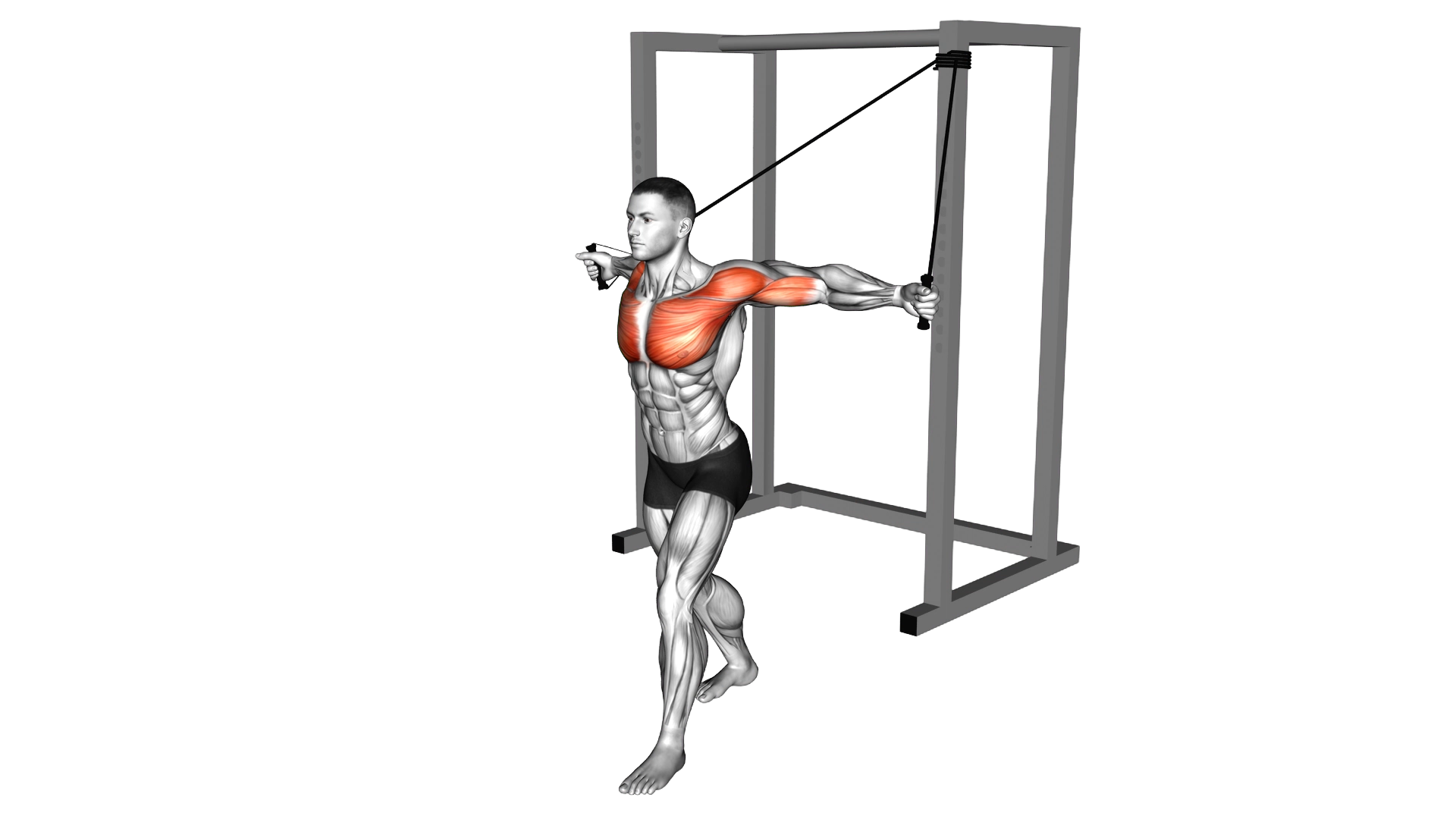 Band Alternate Low Chest Fly exercise demonstration