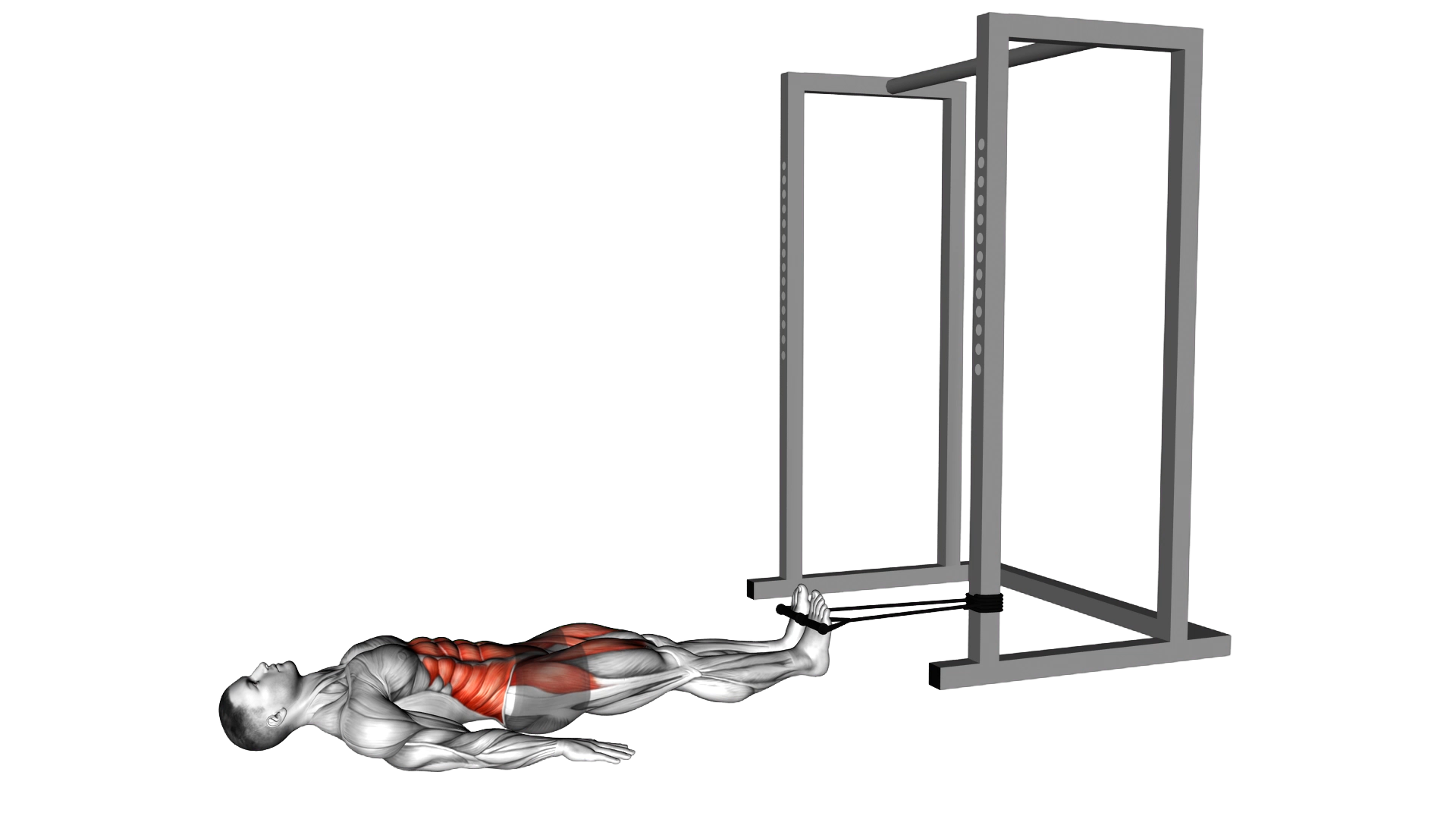 Band Reverse Crunch exercise demonstration