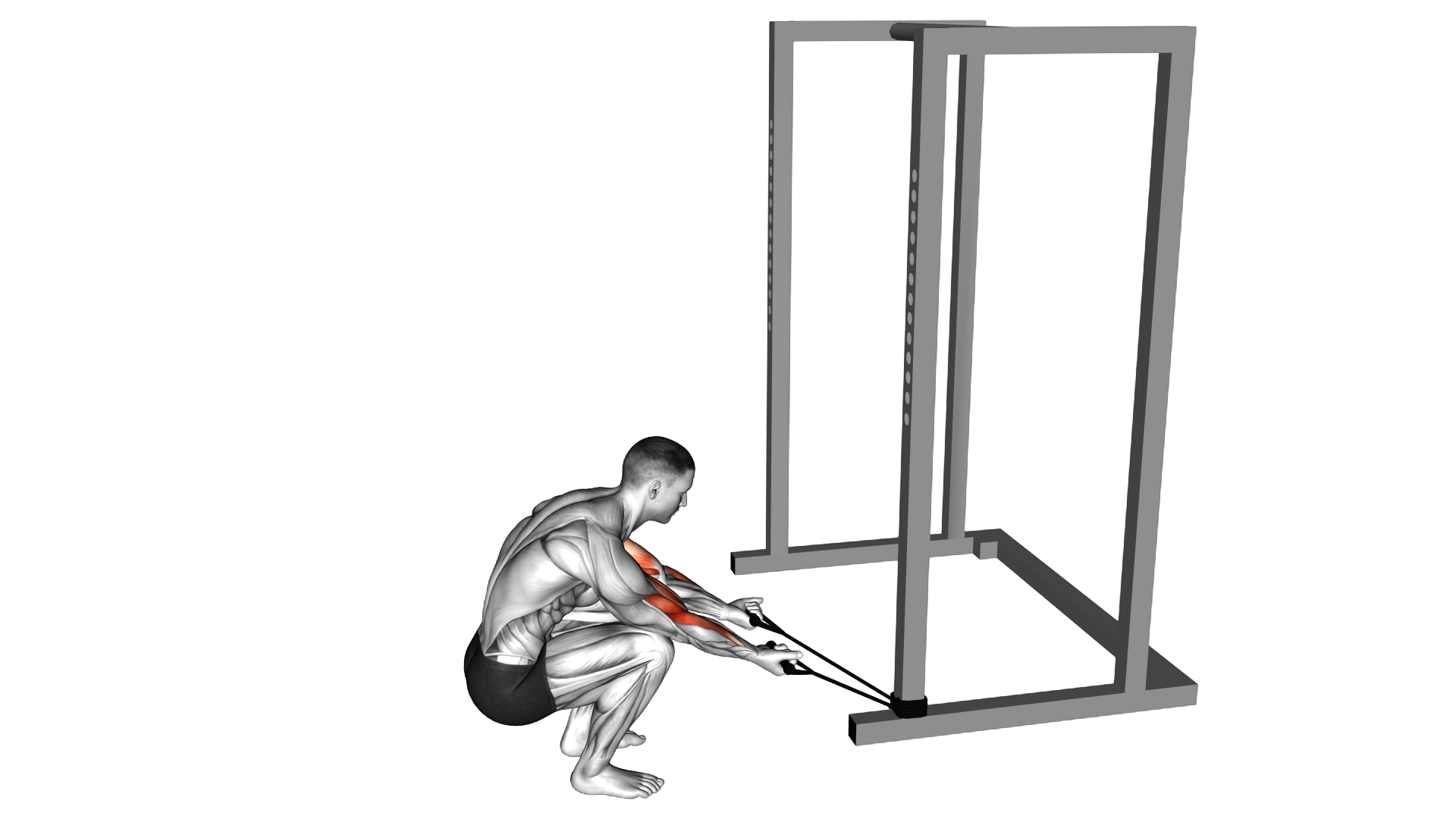 Band Kneeling Preacher Curl exercise demonstration