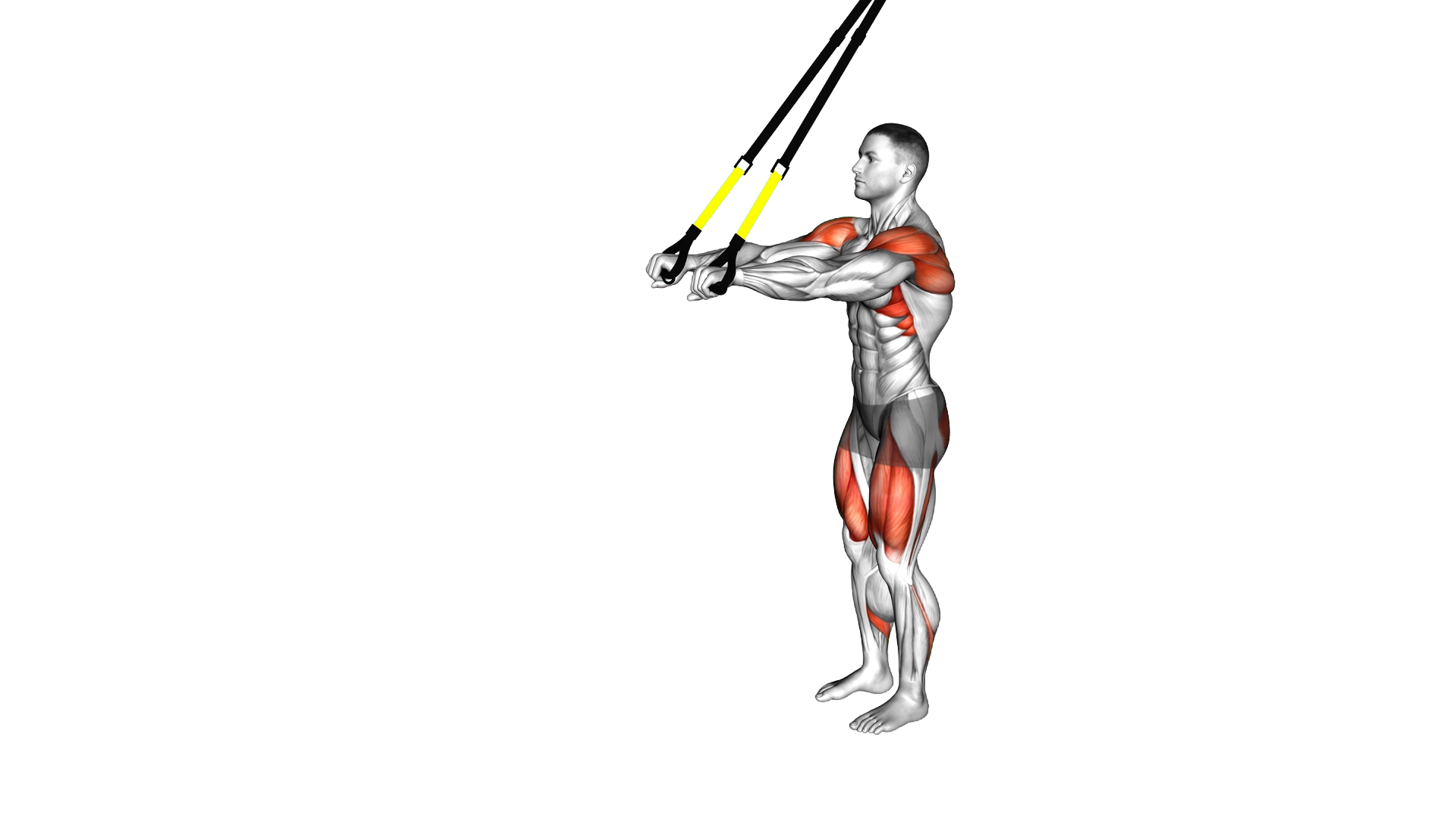 Suspender Forward Lunge with Rear Fly exercise demonstration