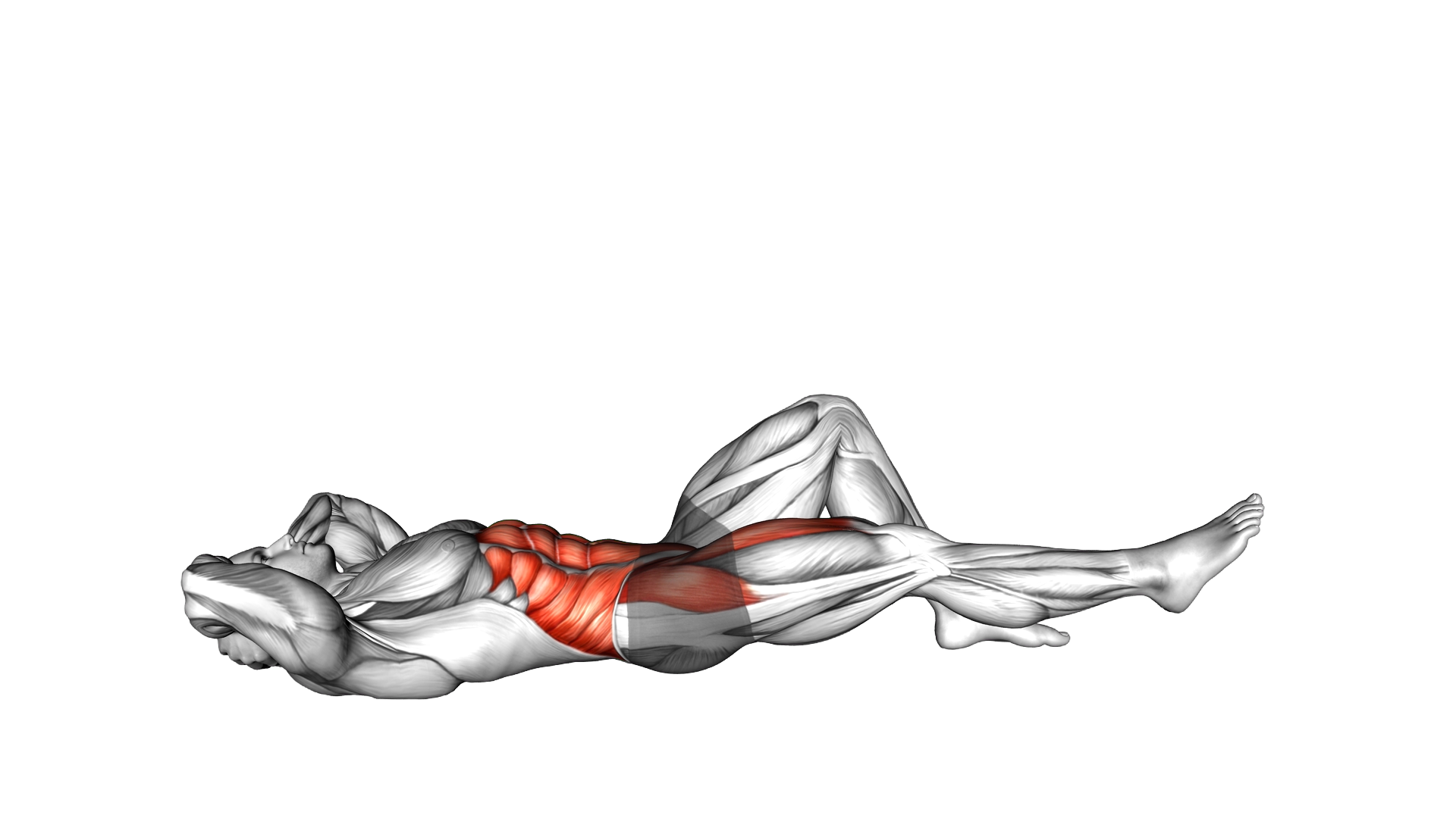Crunch with Leg Lift exercise demonstration