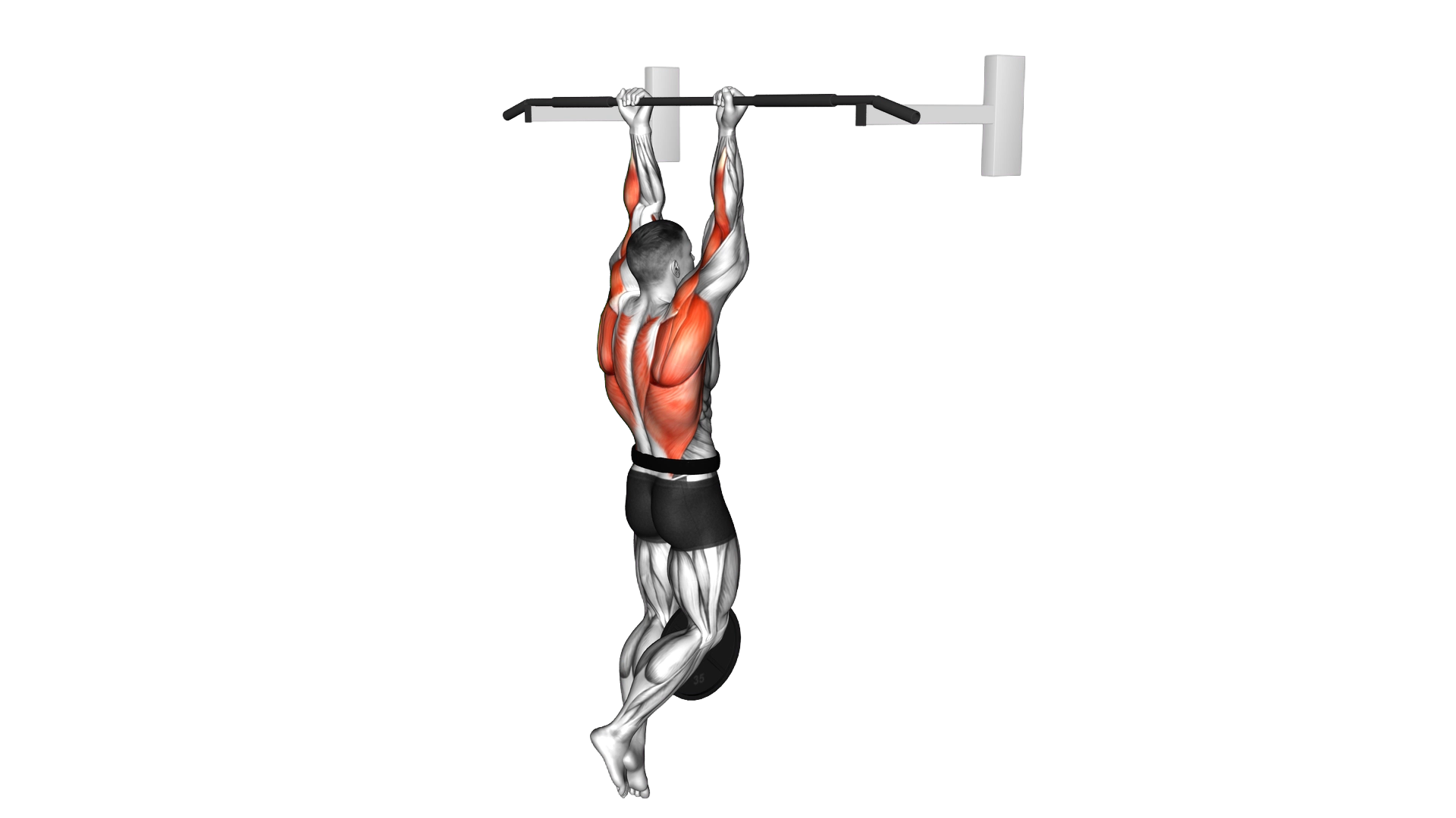 Weighted Chin Up exercise demonstration