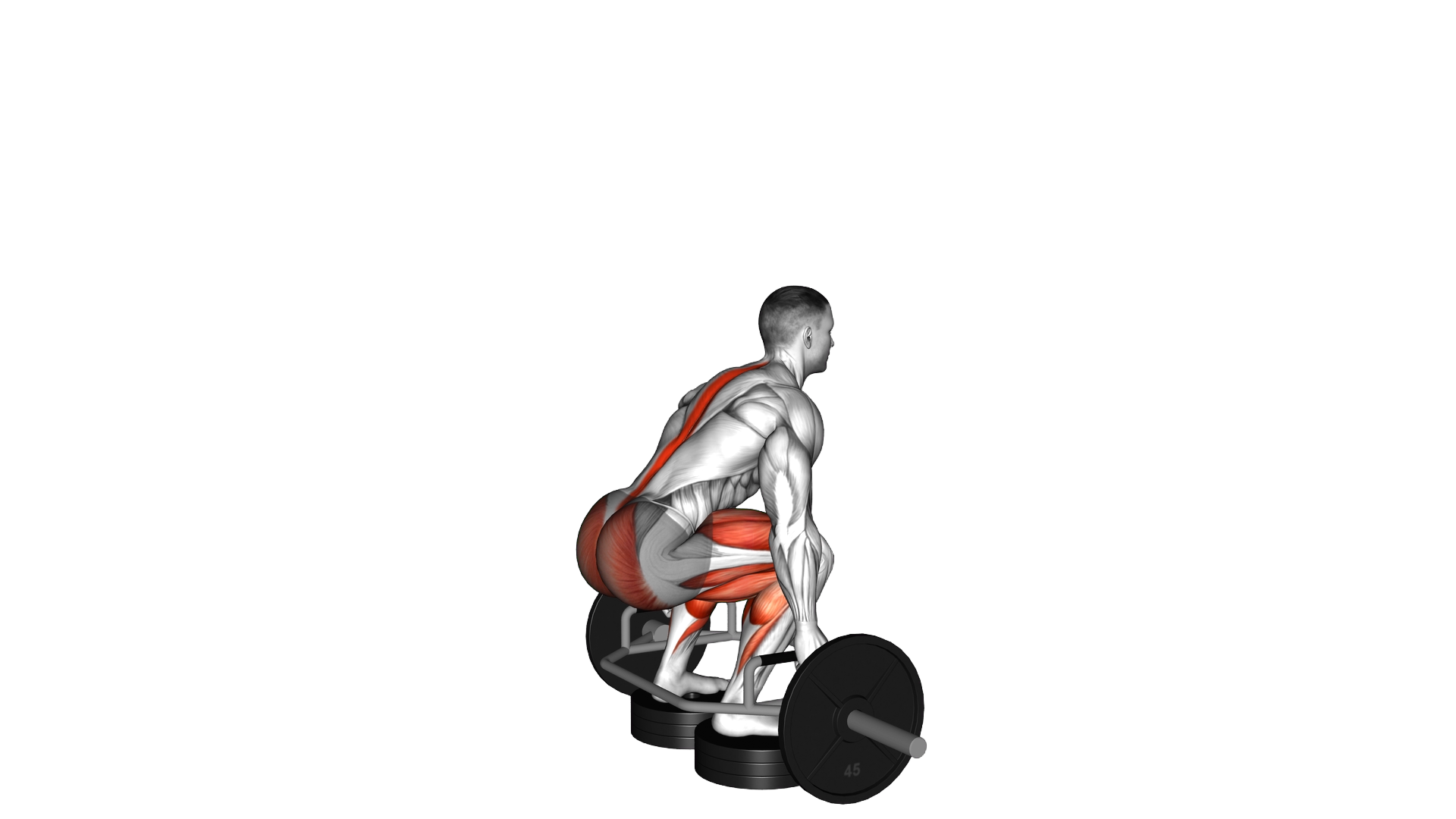 Trap Bar Deadlift from Deficit exercise demonstration