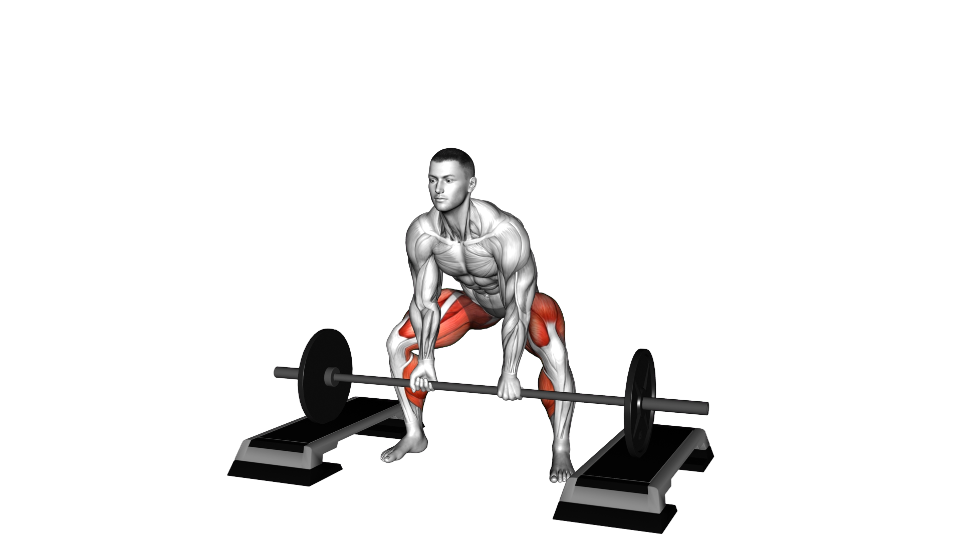 Barbell Sumo Deadlift from Blocks exercise demonstration