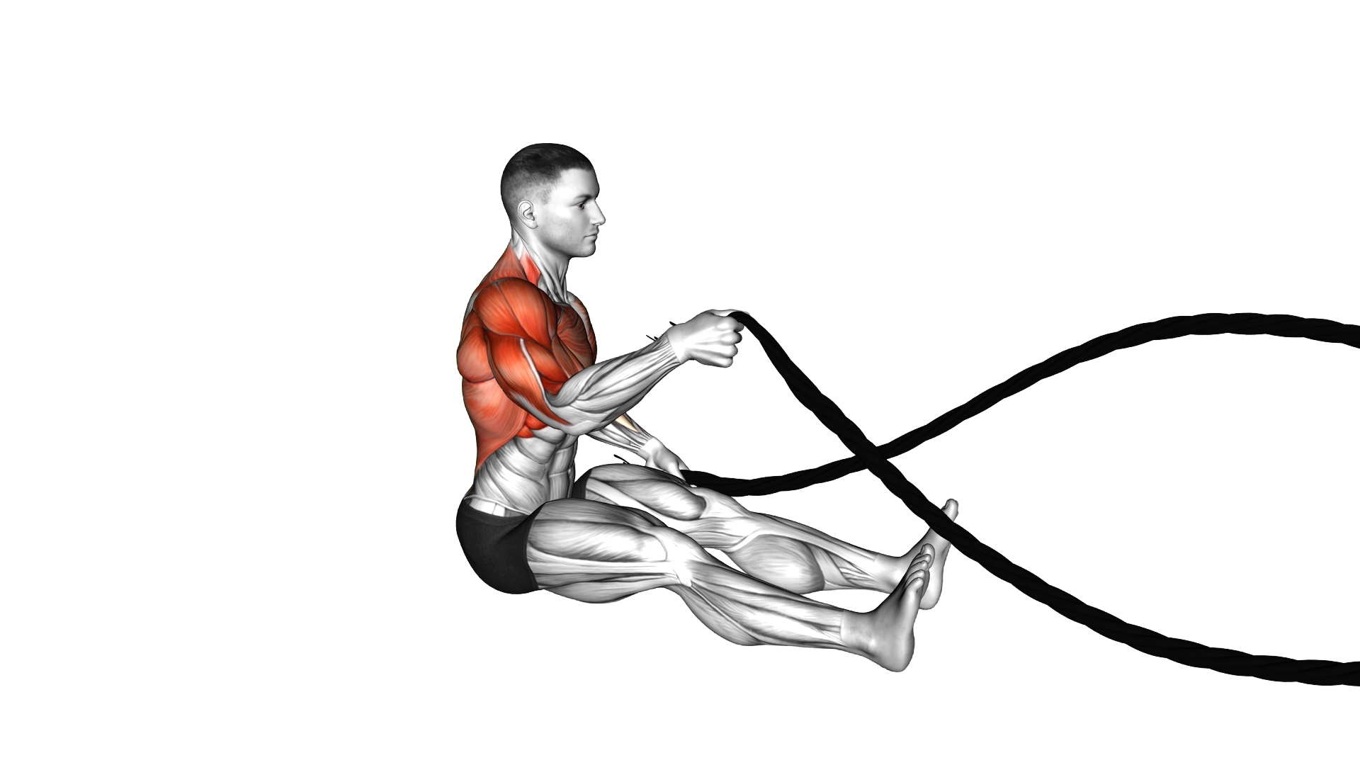 Battling Ropes Seated exercise thumbnail