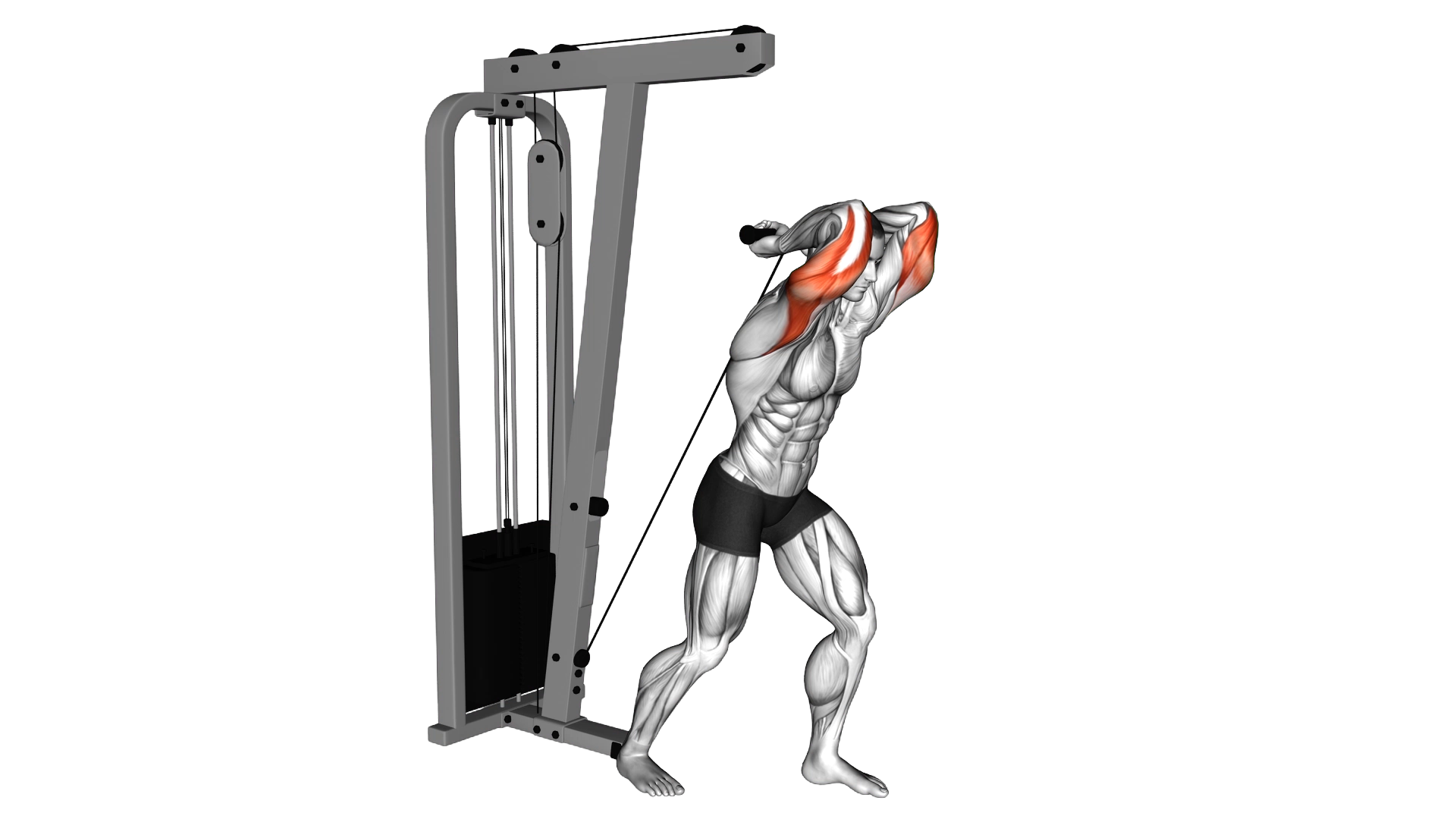 Cable Overhead Tricep Extension Straight Bar exercise demonstration