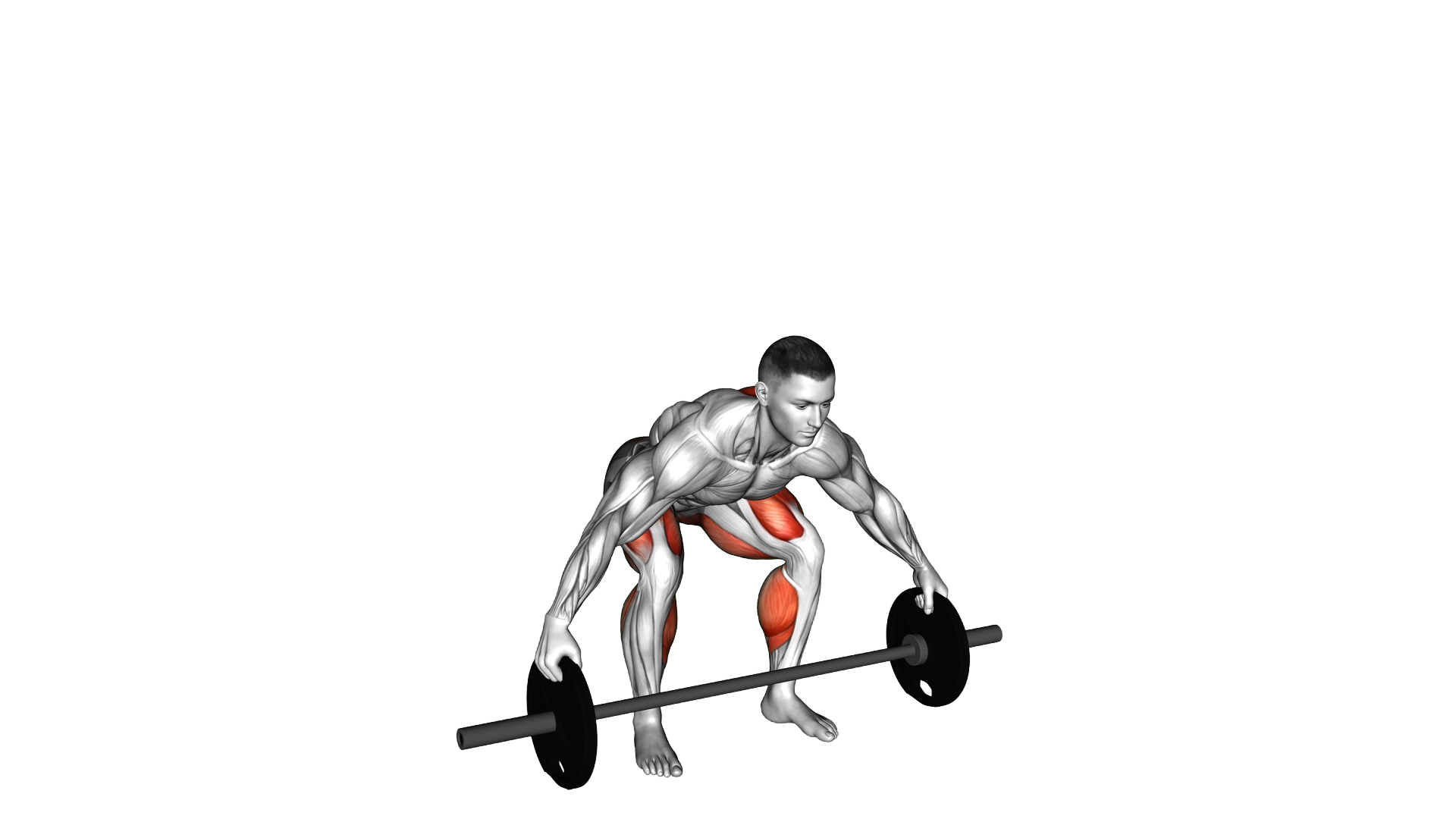 Barbell Reeves Deadlift exercise demonstration