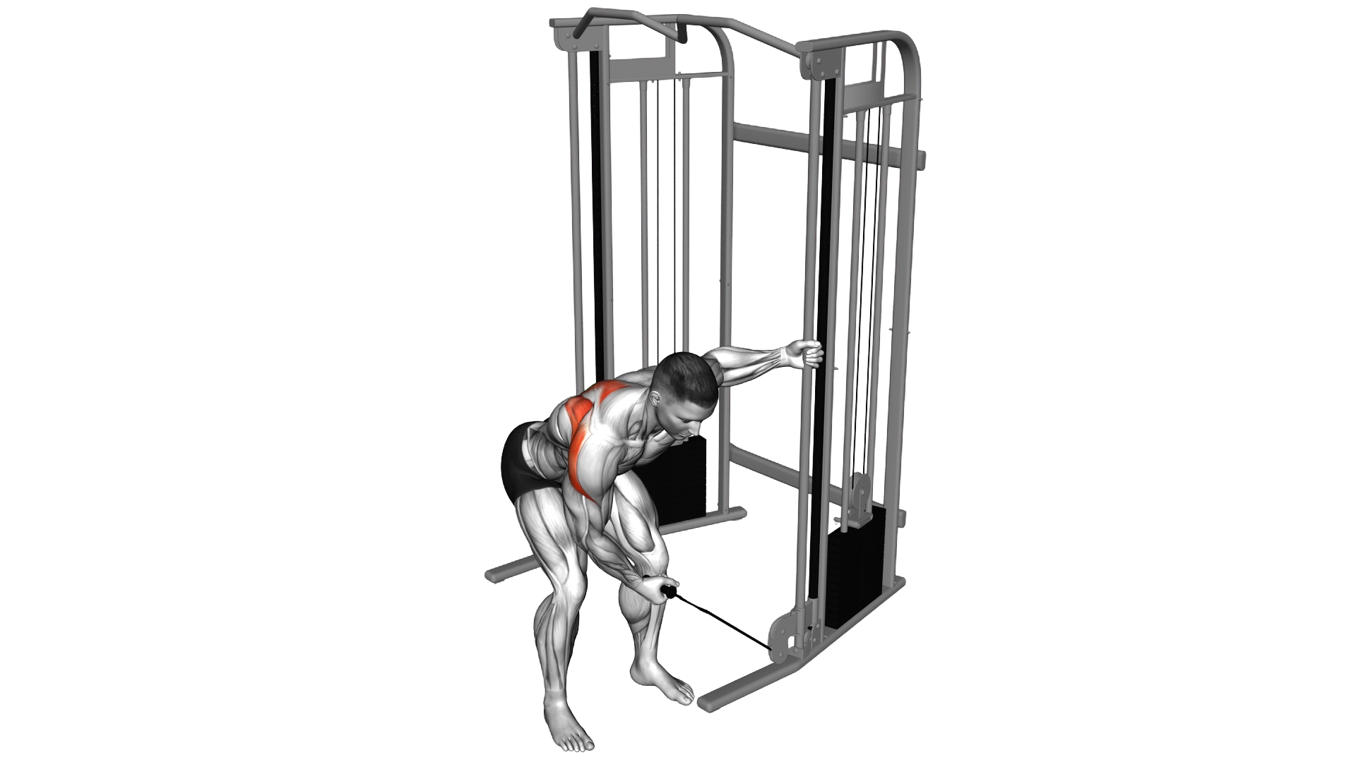 Cable One Arm Reverse Fly exercise demonstration