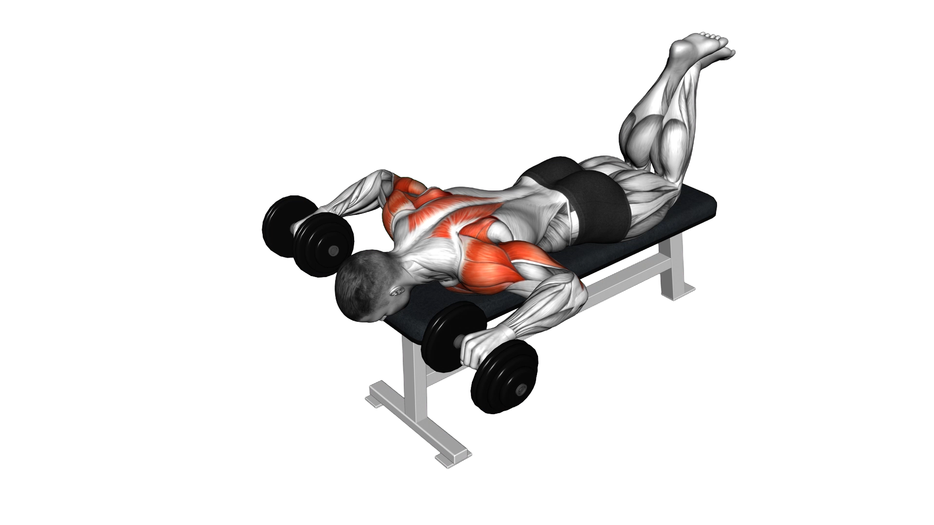 Dumbbell Face Down Lying Shoulder Press exercise demonstration