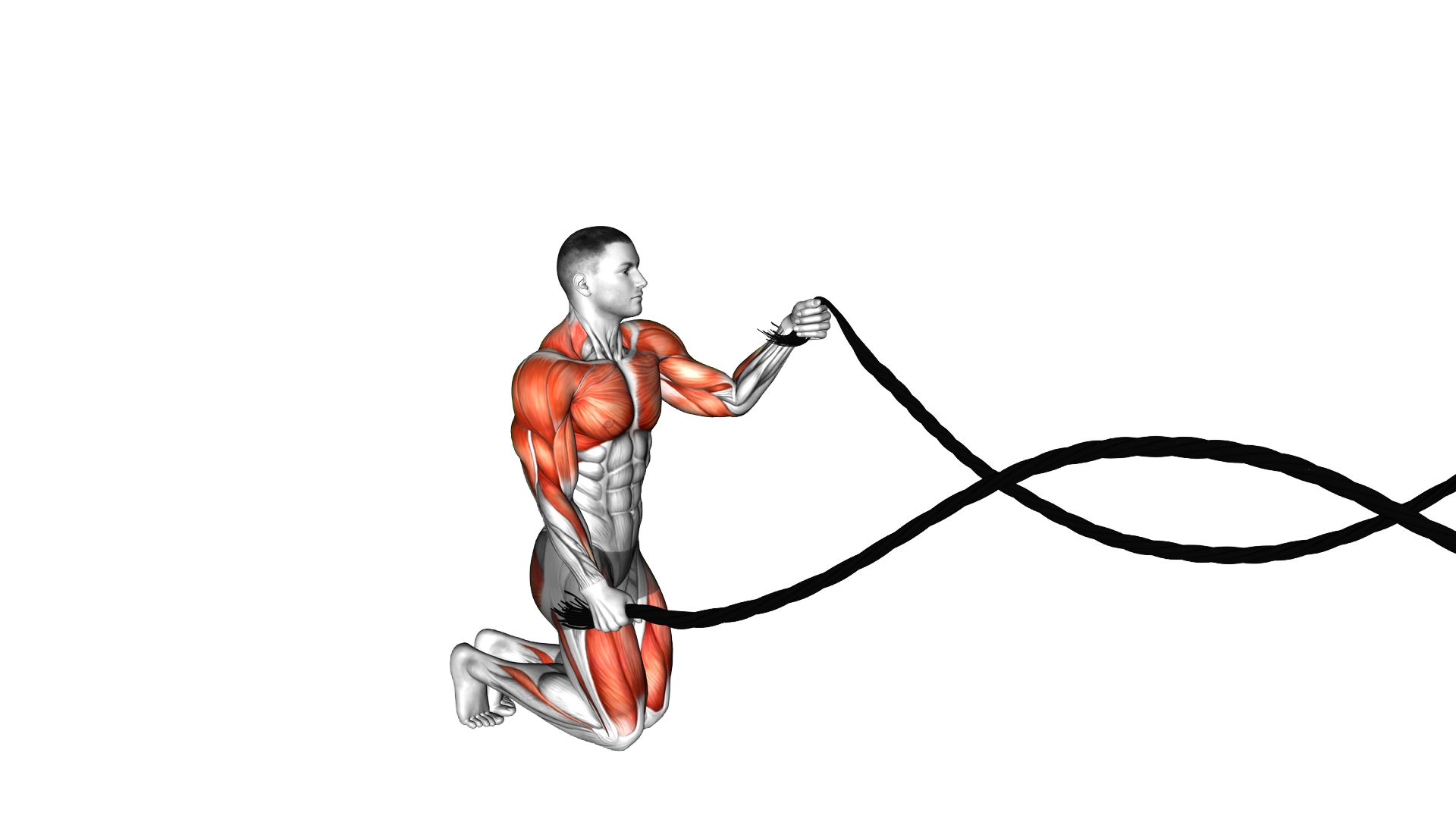 Battling Ropes Alternating Waves with Kneeling Get exercise thumbnail
