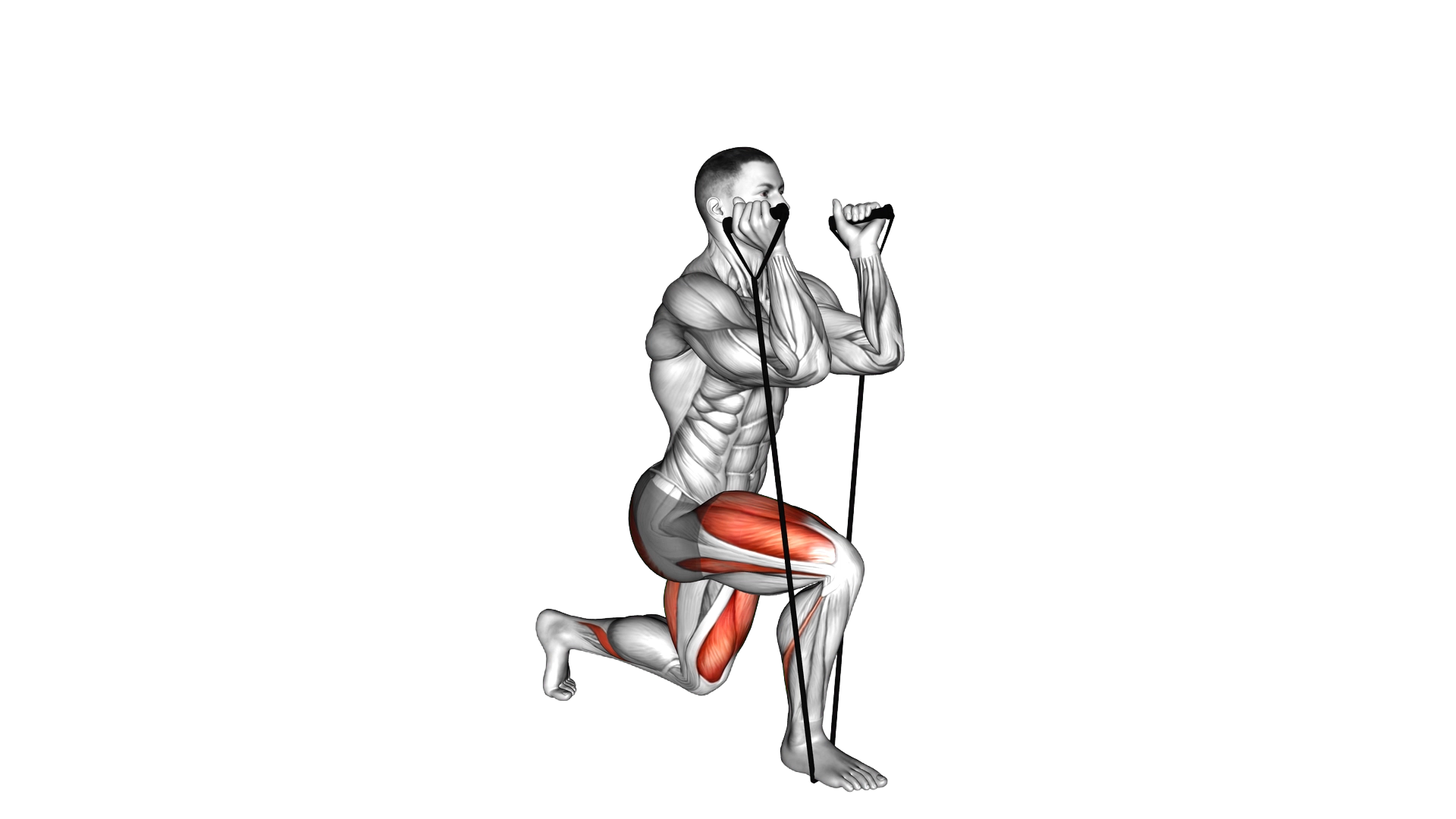 Band Split Squat exercise demonstration