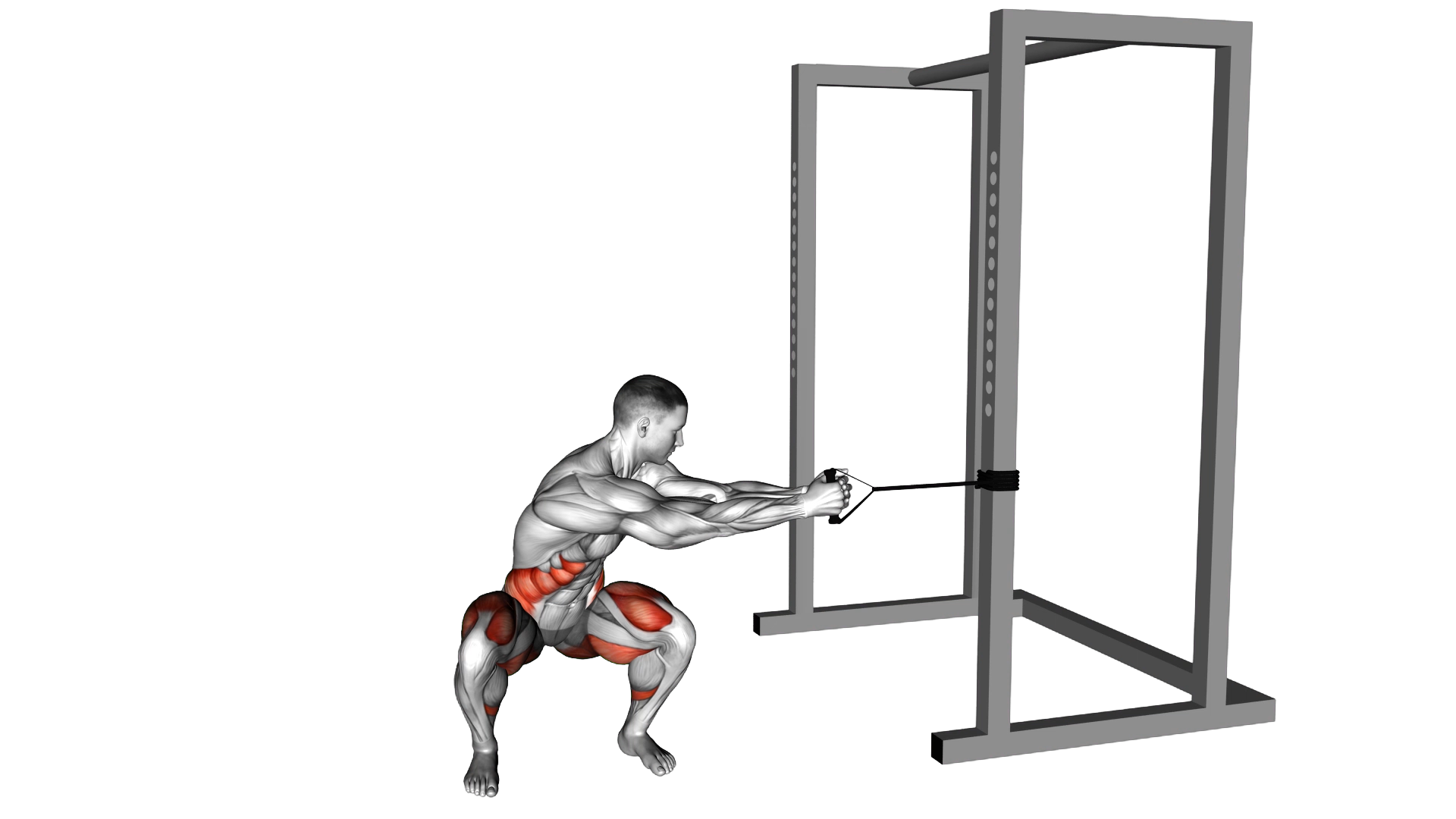 Band Squat Twist exercise demonstration
