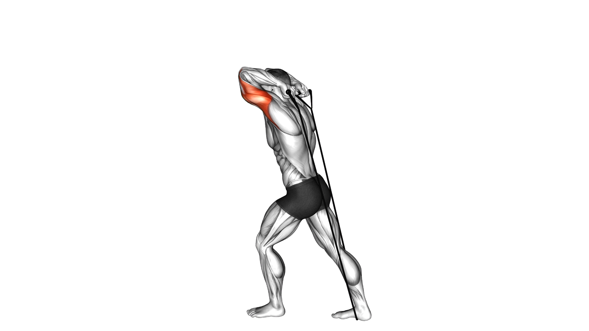 Band Overhead Triceps Extension exercise demonstration