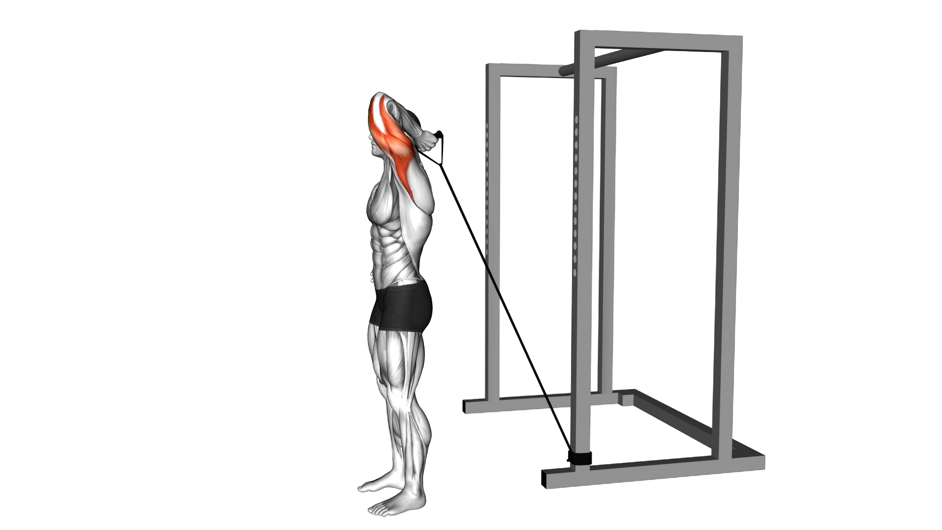 Band Overhead Single Arm Triceps Extension exercise demonstration