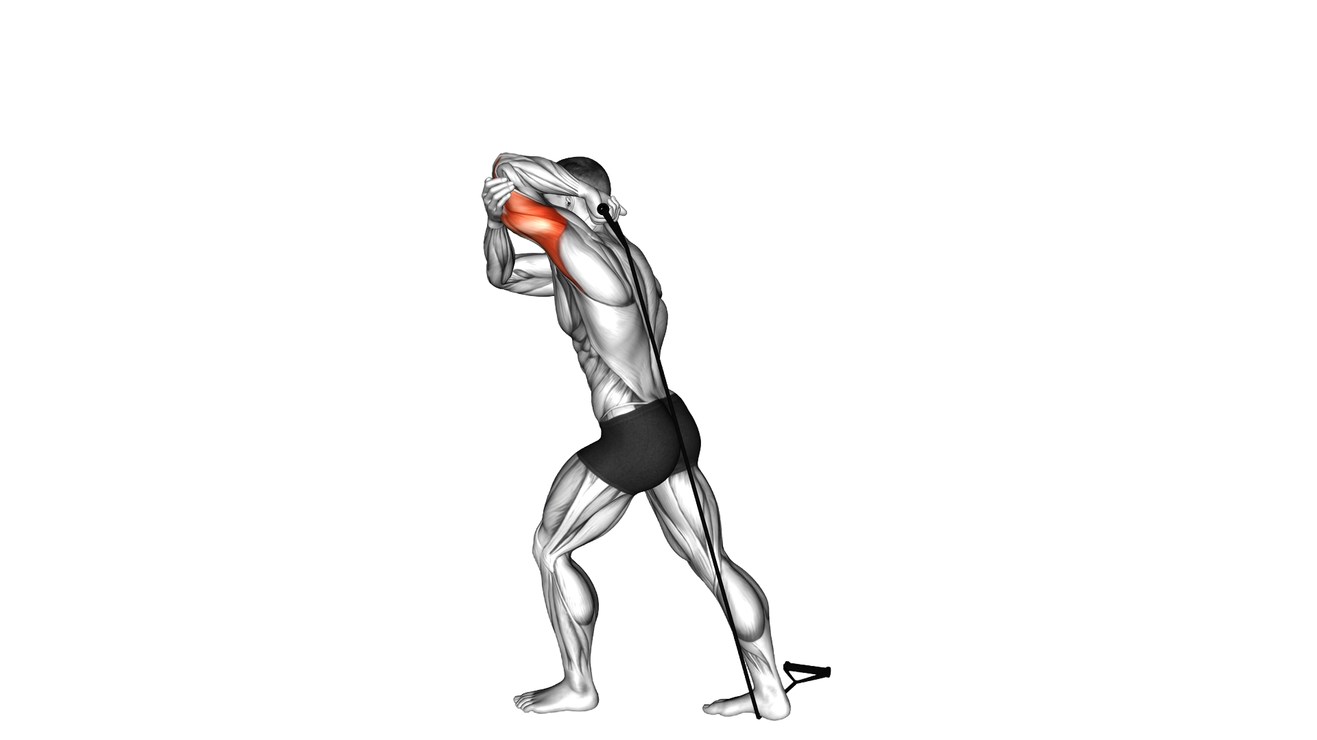 Band Overhead Single Arm Triceps Extension (VERSIO exercise demonstration