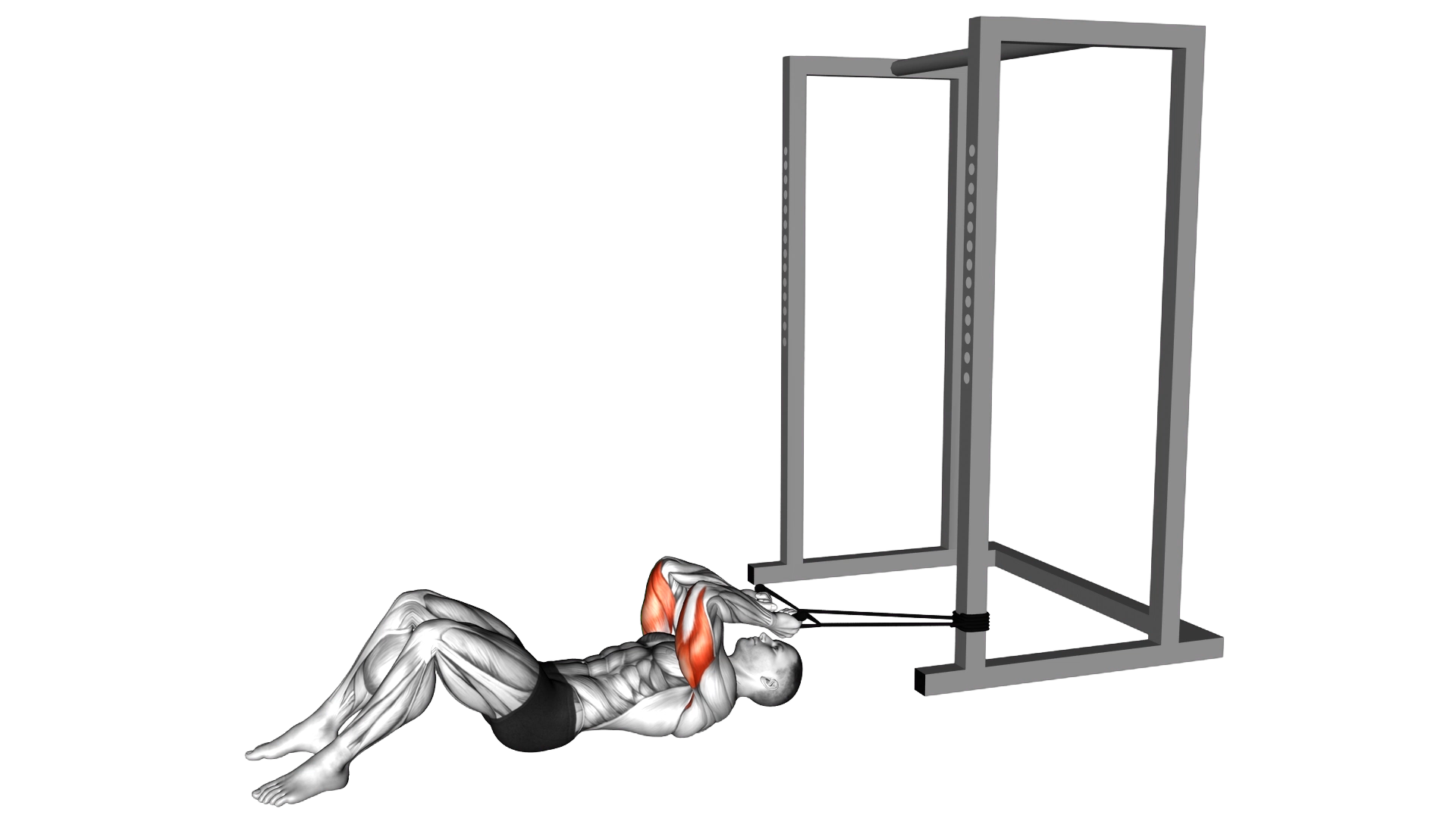 Band Lying Reverse Grip Pressdown (Skull Crusher) exercise demonstration