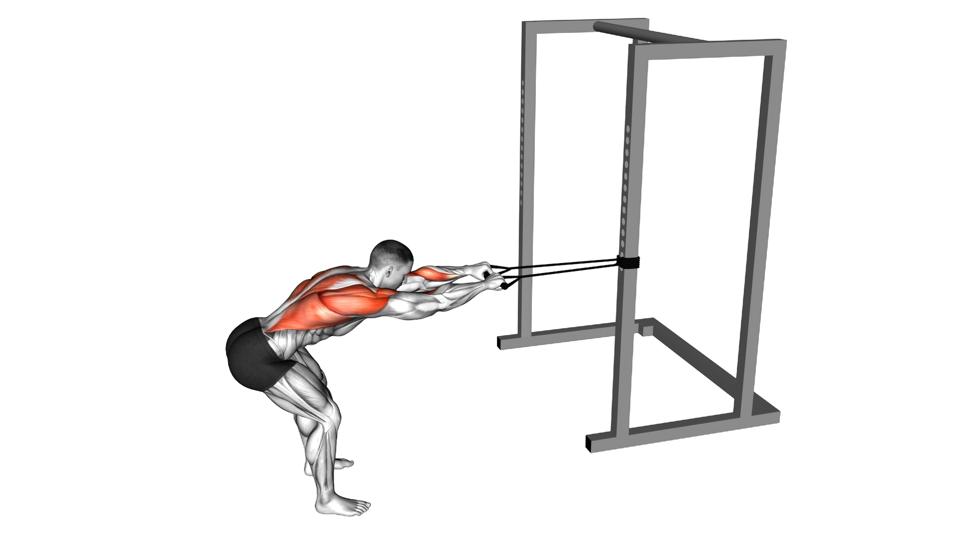 Band Bent Over Lat Pulldown exercise demonstration