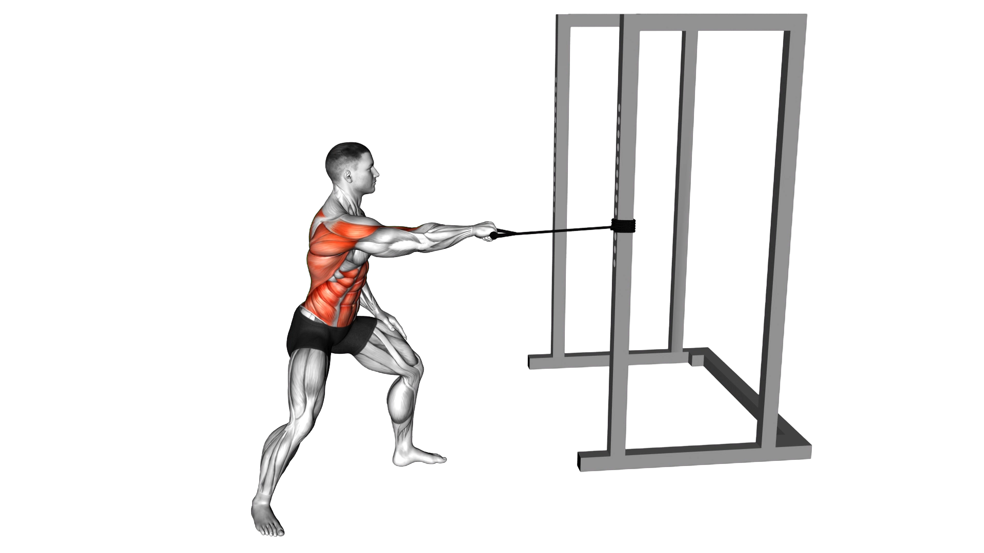 Band Standing Single Arm Twist Row exercise demonstration