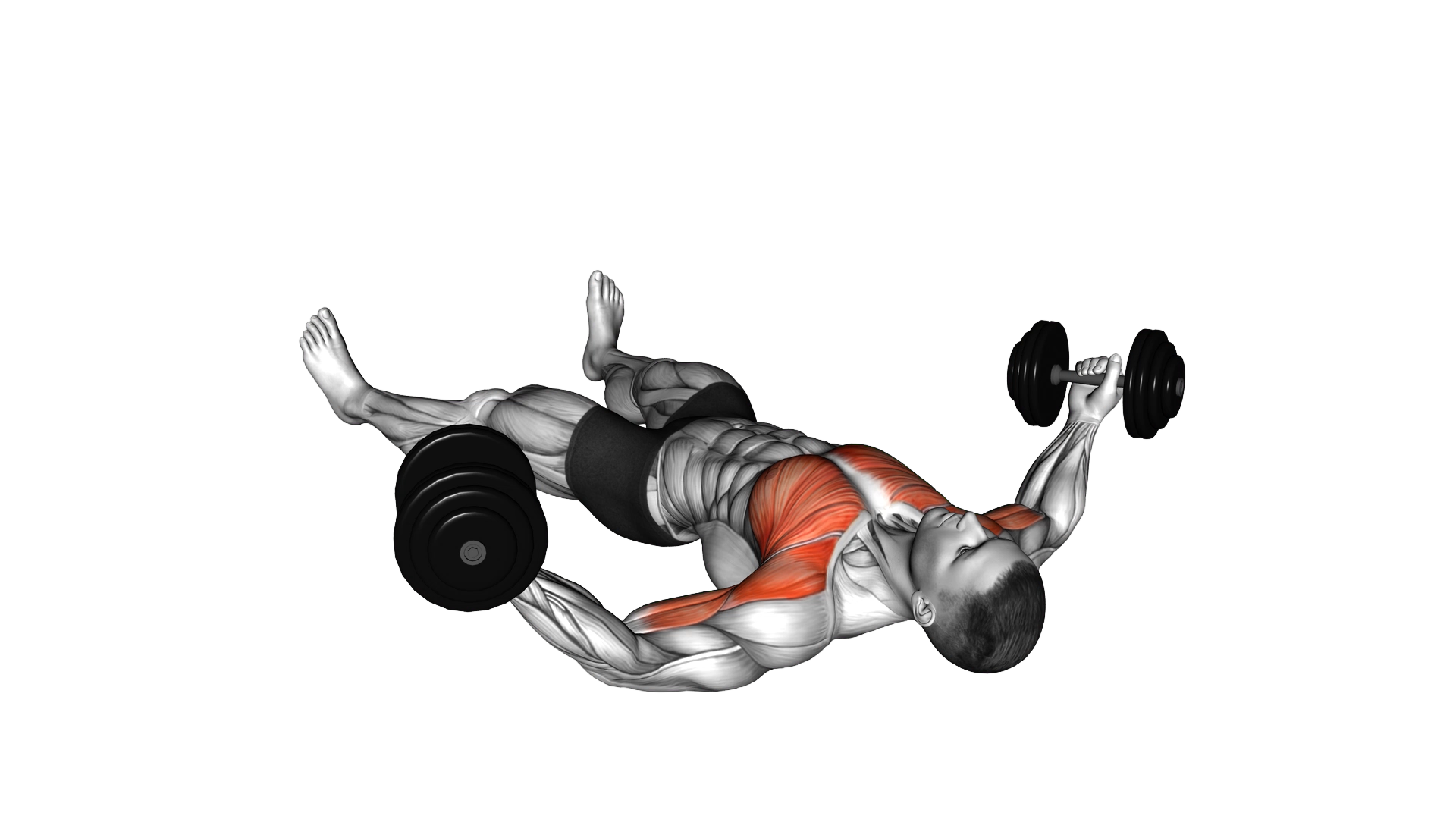 Dumbbell Floor Fly exercise demonstration