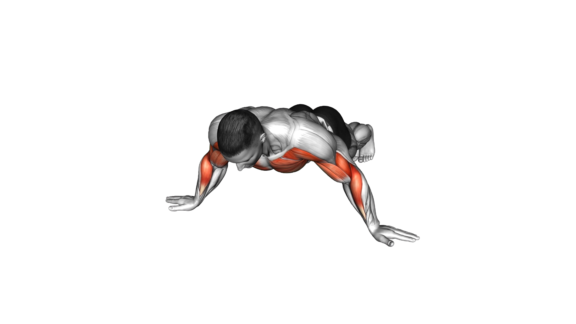 One Side Archer Push up exercise demonstration
