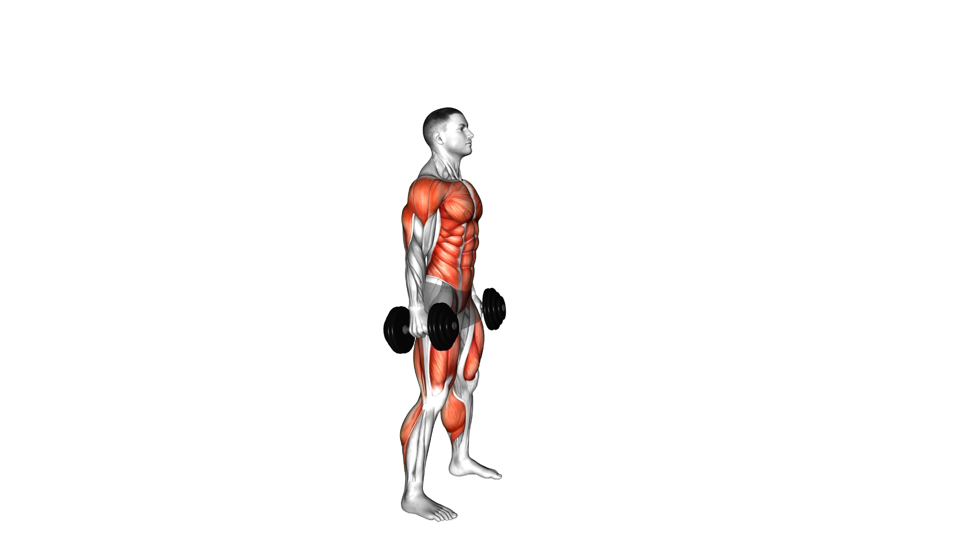Dumbbell Devils Press exercise demonstration