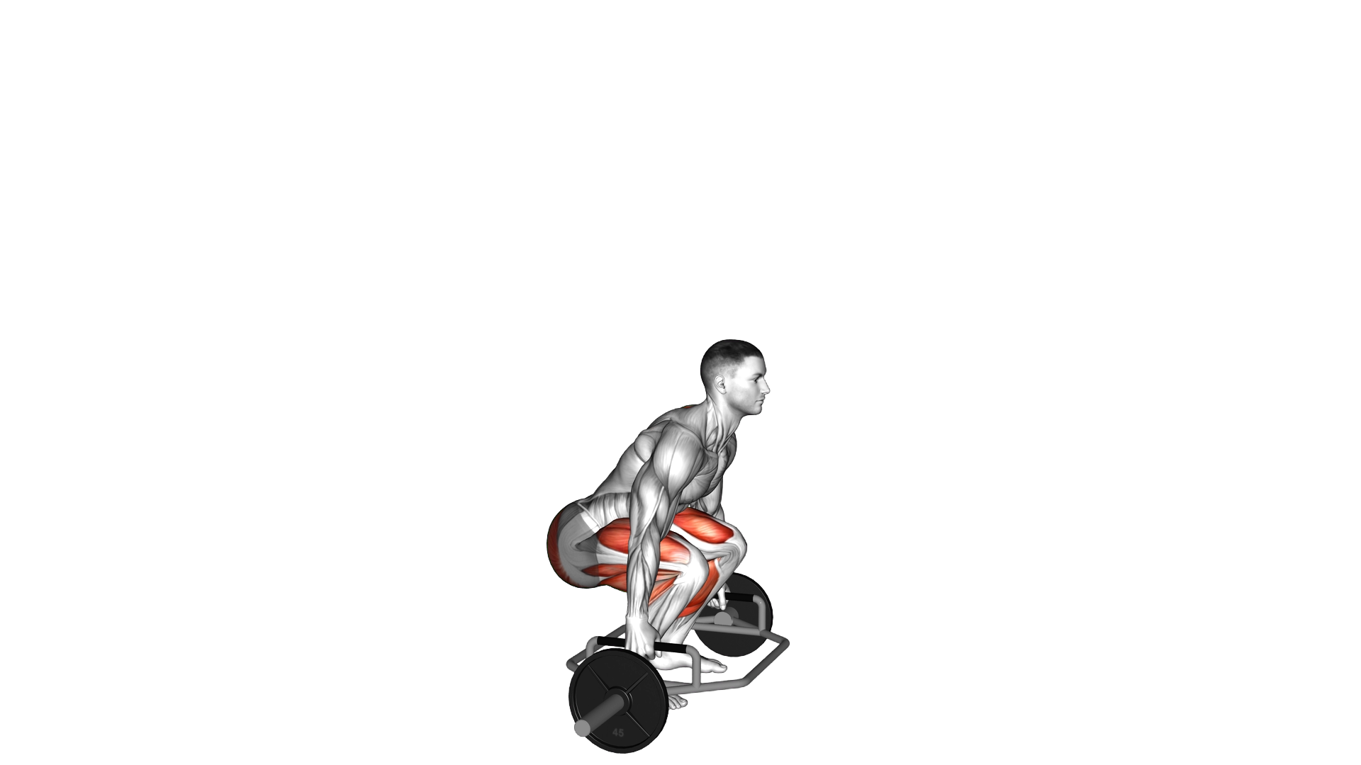 Trap Bar Jump Squat exercise demonstration