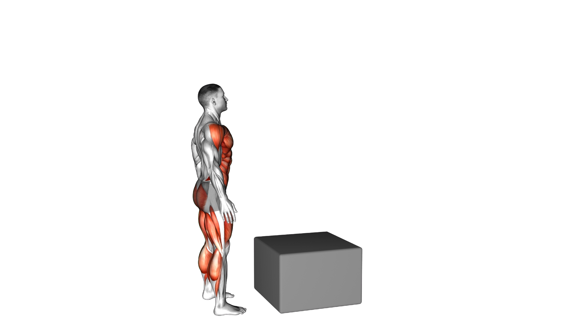 Jump Pistol Squat Box exercise thumbnail