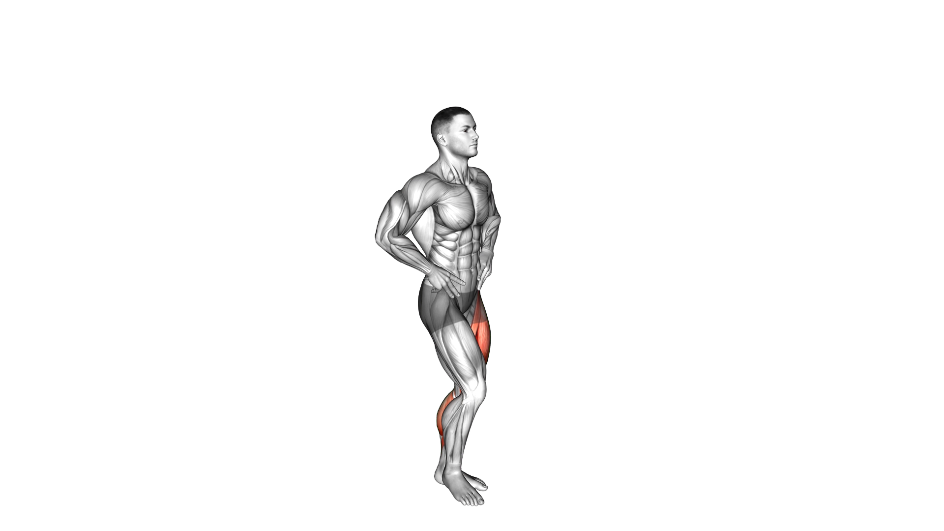 Jumping Pistol Squat exercise demonstration