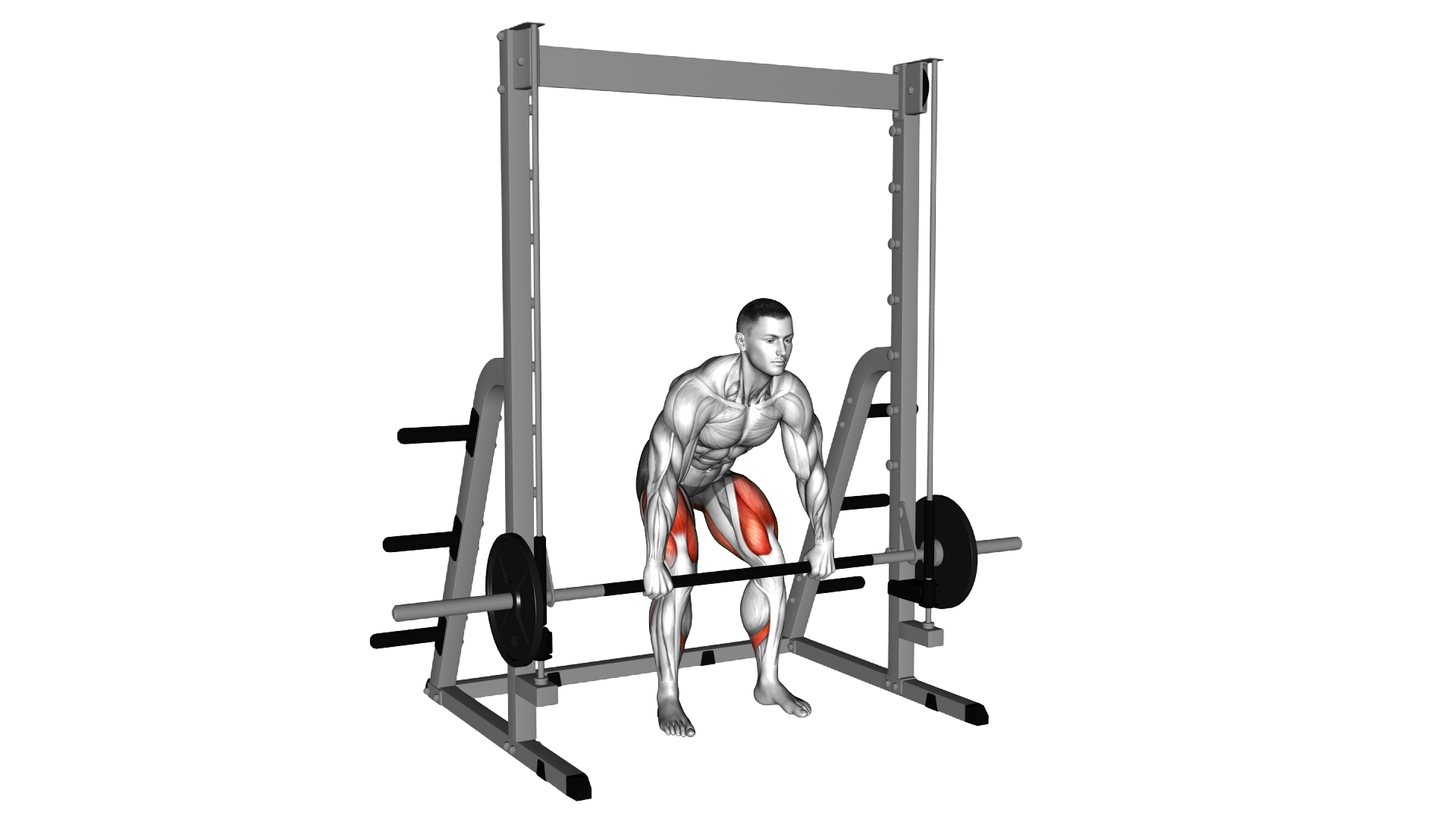 Smith Rack Pull exercise demonstration