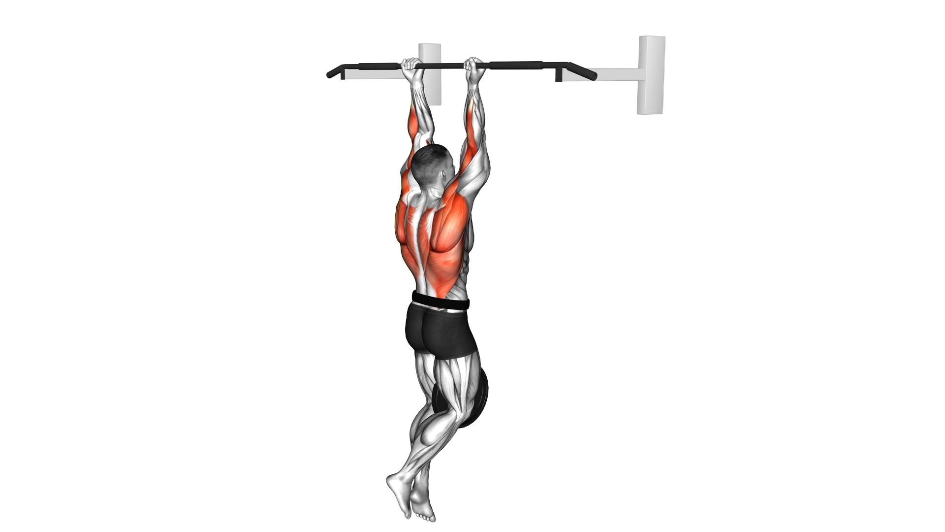 Weighted Hang Chin Up exercise demonstration