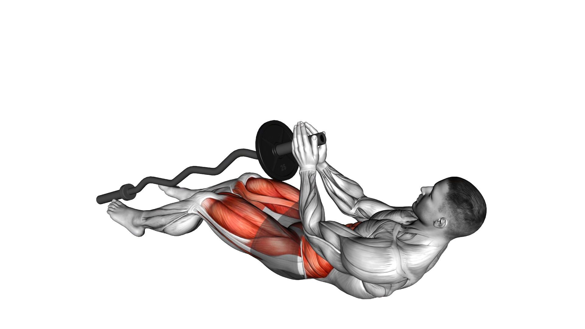 EZ Bar Legs Side Pull In Sit up exercise demonstration