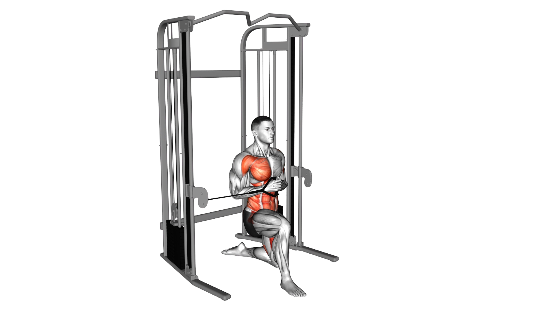 Cable Half Kneeling Pallof Press exercise demonstration