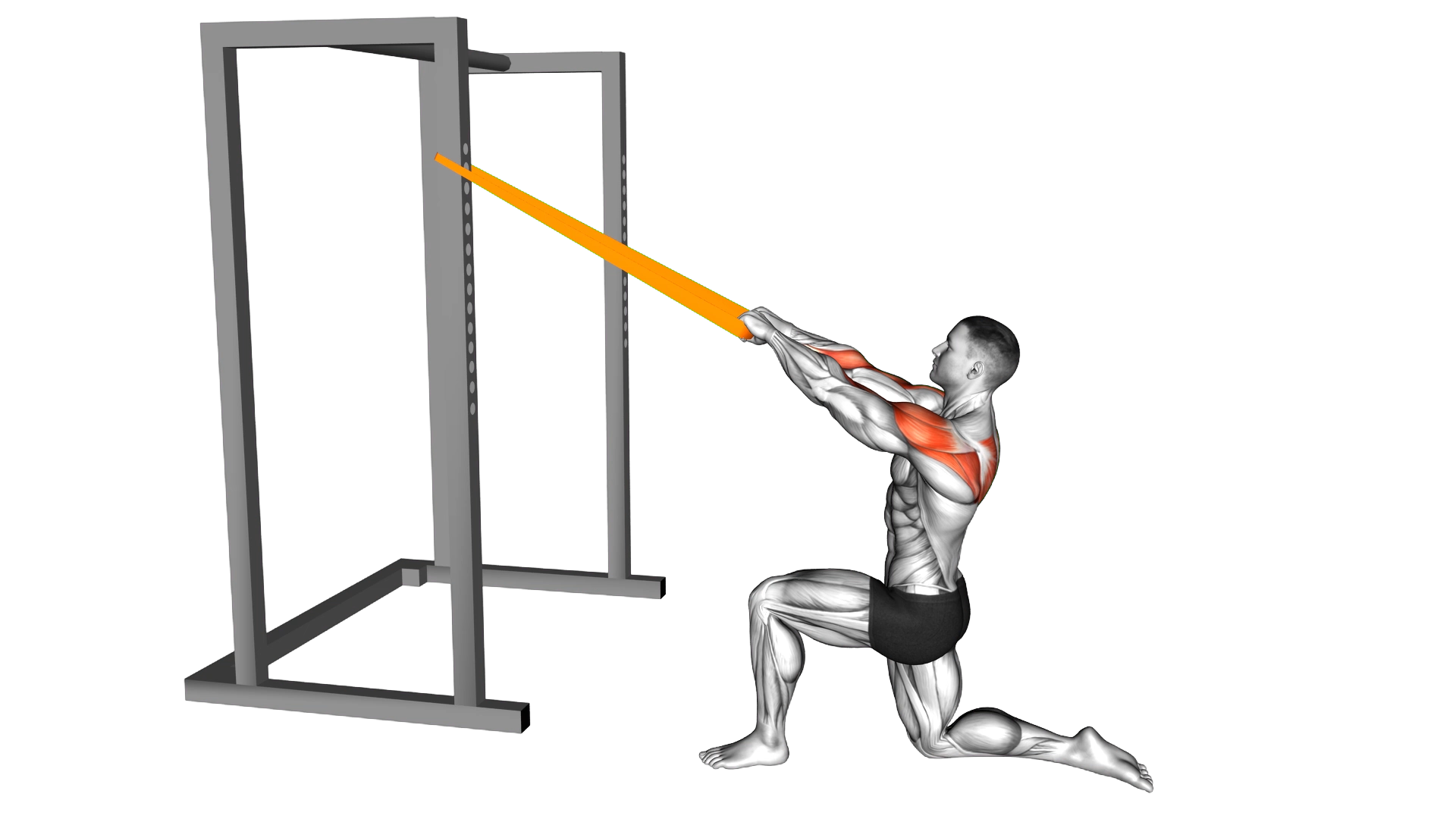 Resistance Band Half Kneeling Face Pull exercise demonstration